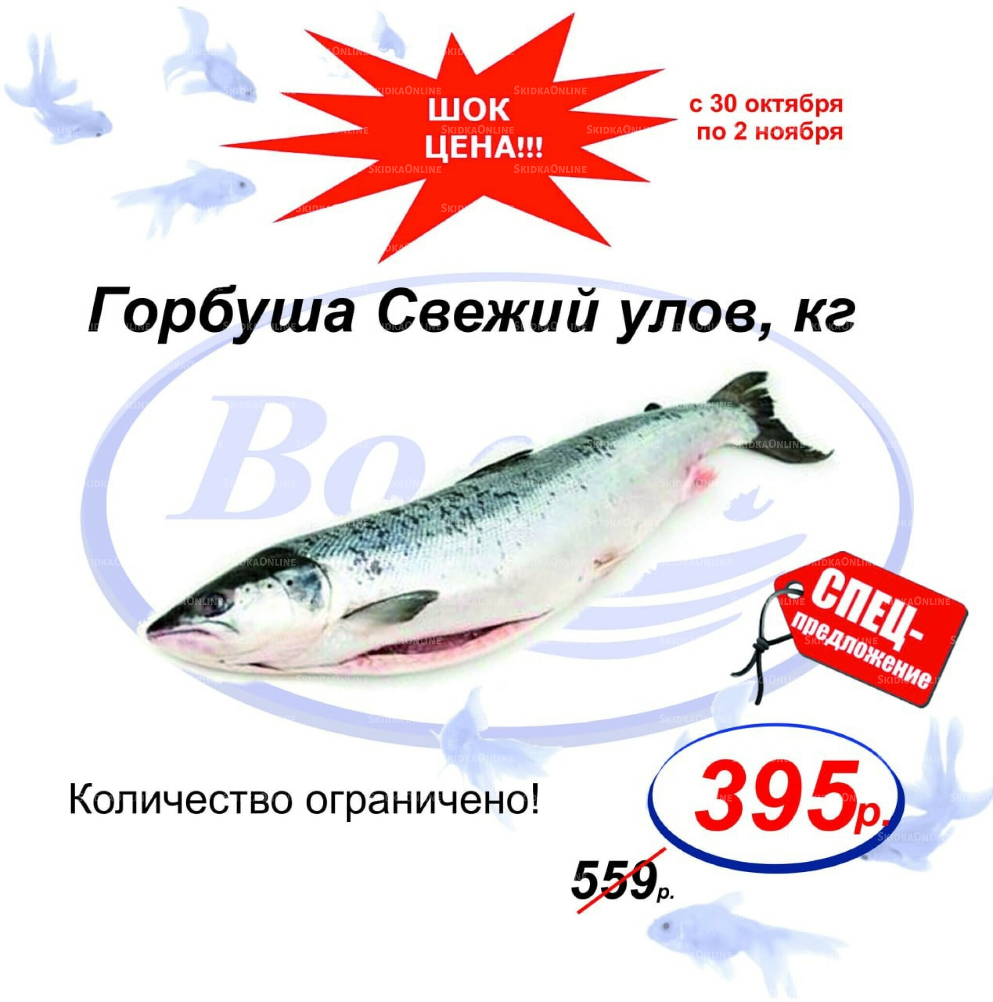 Шок цена 30 Октября - 2 Ноября 2025 4