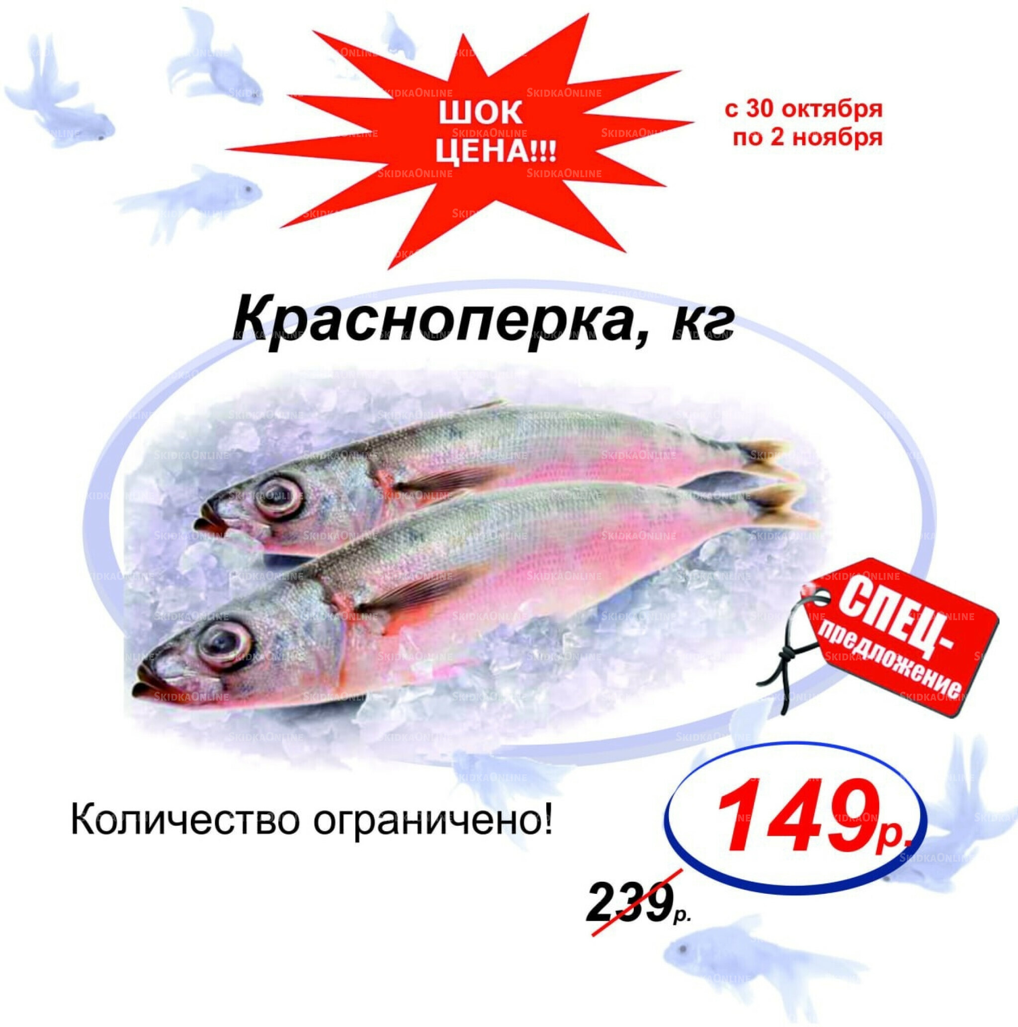 Шок цена 30 Октября - 2 Ноября 2025 1