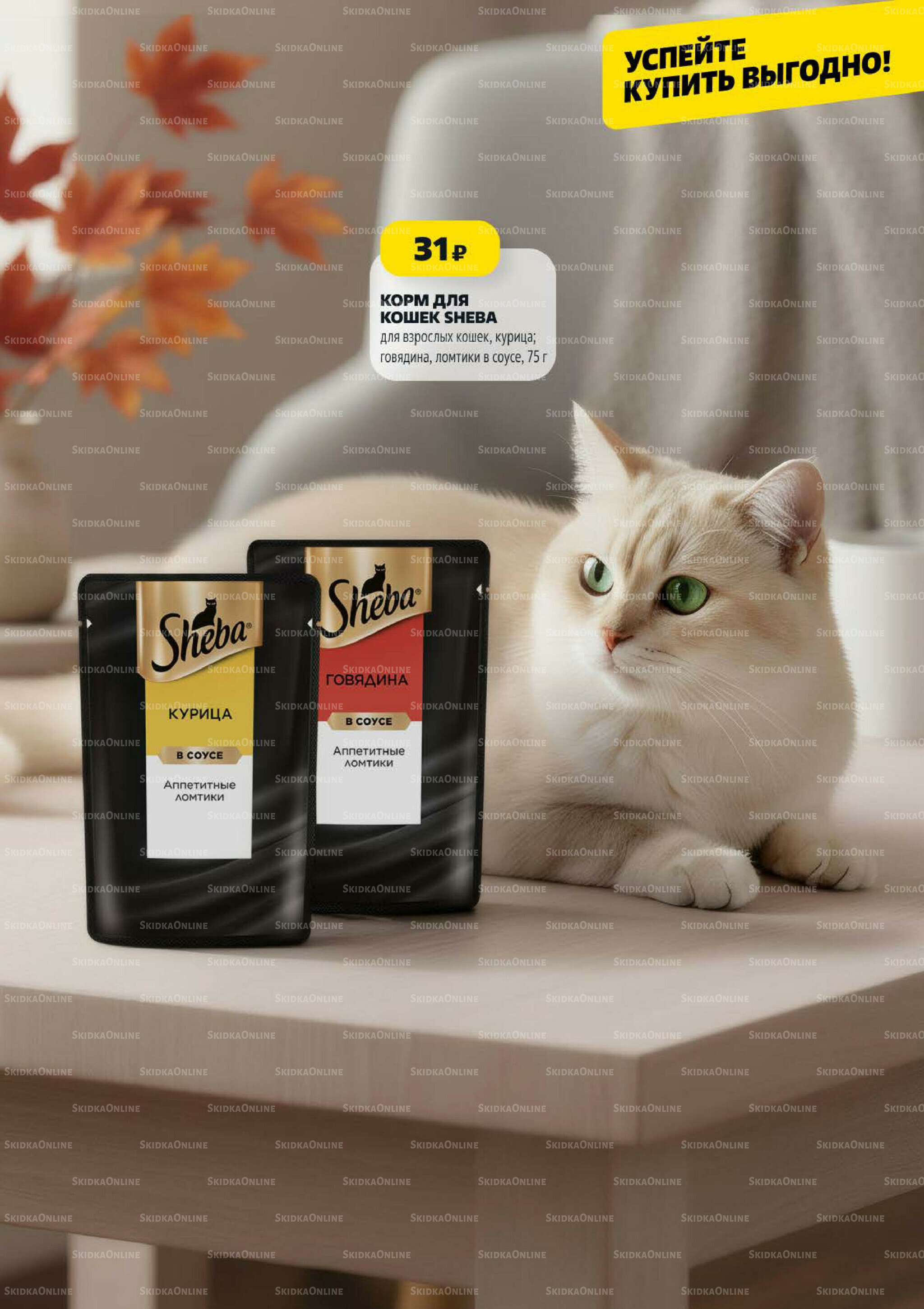 Надо успеть! 6  - 12 Ноября 2025 10