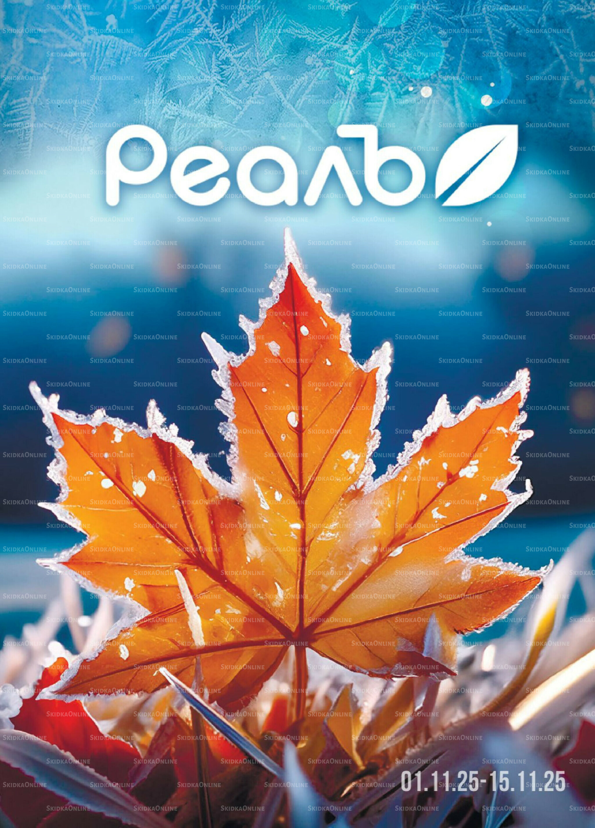 Каталог 1  - 15 Ноября 2025 1