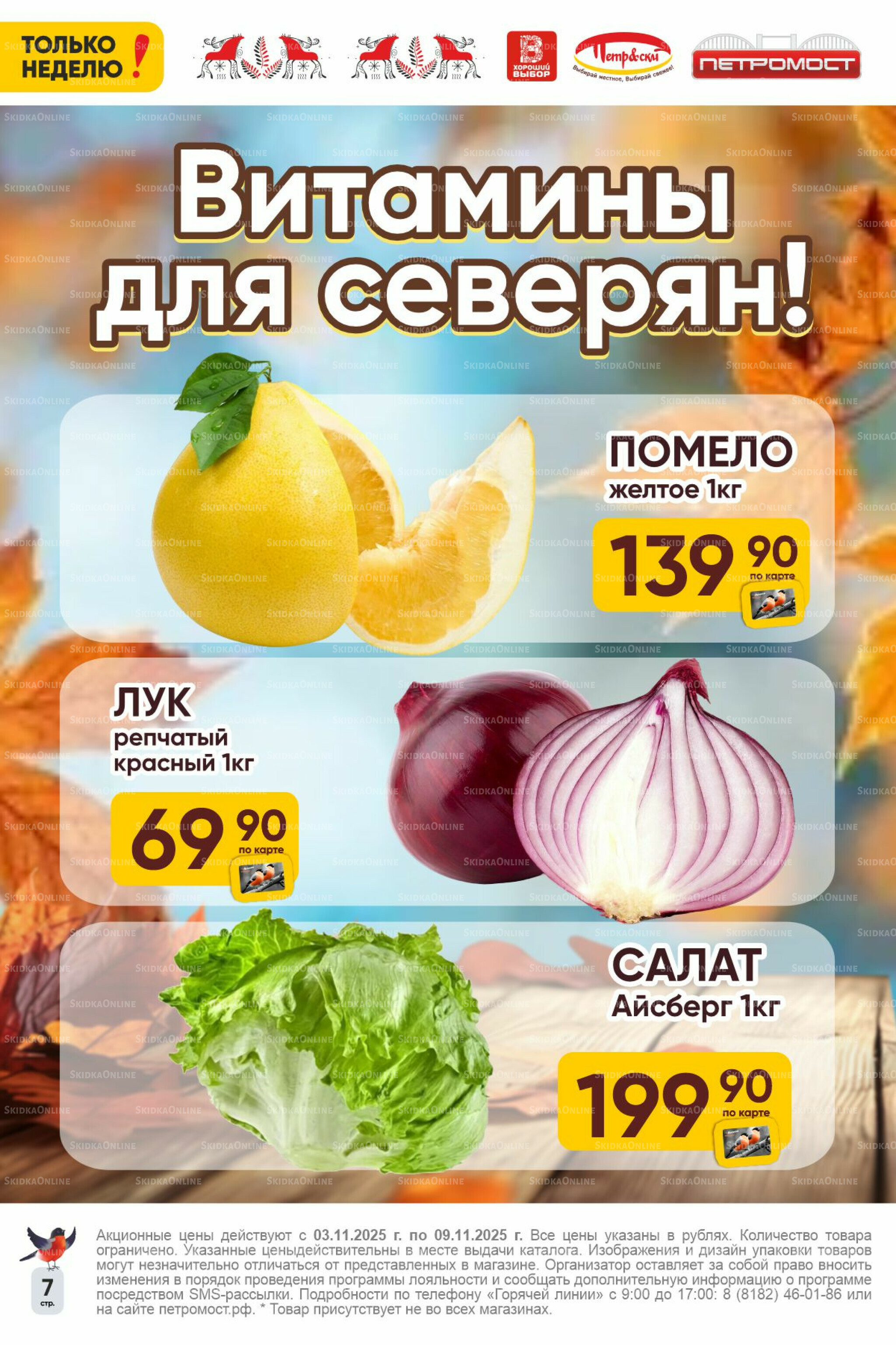 Только неделю! 3  - 9 Ноября 2025 7