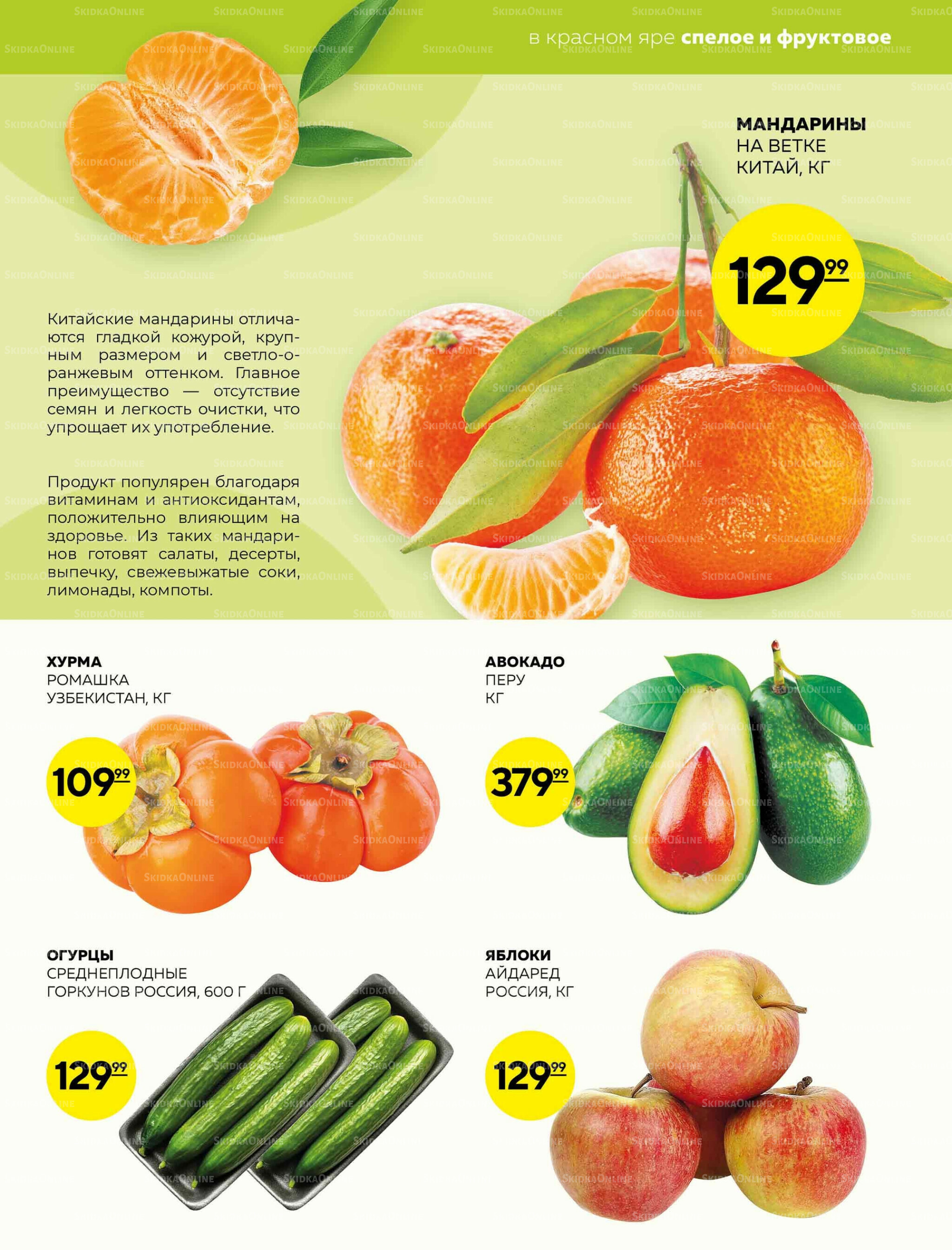 Каталог 6  - 12 Ноября 2025 9