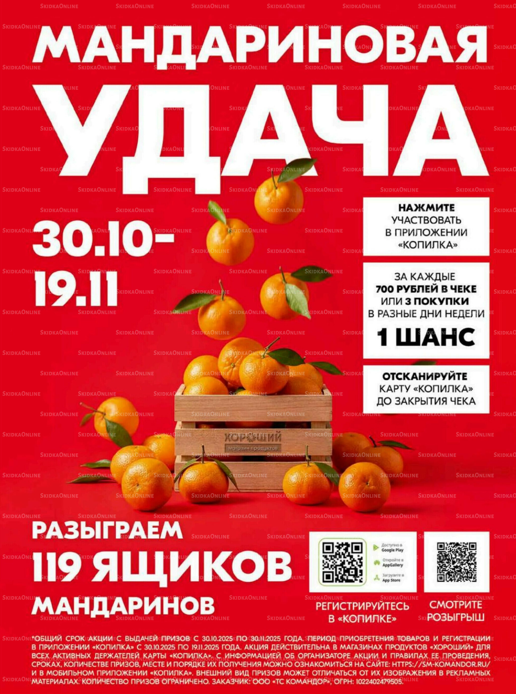 Хорошие новости 6  - 20 Ноября 2025 4