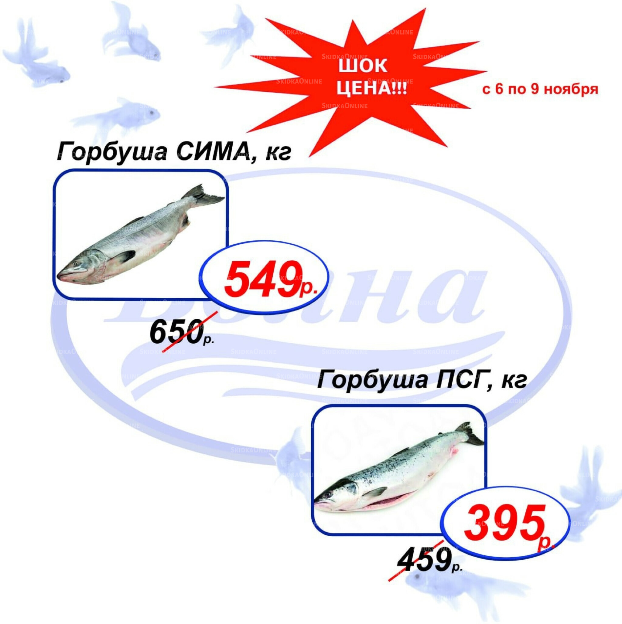 Шок цена 6  - 9 Ноября 2025 1