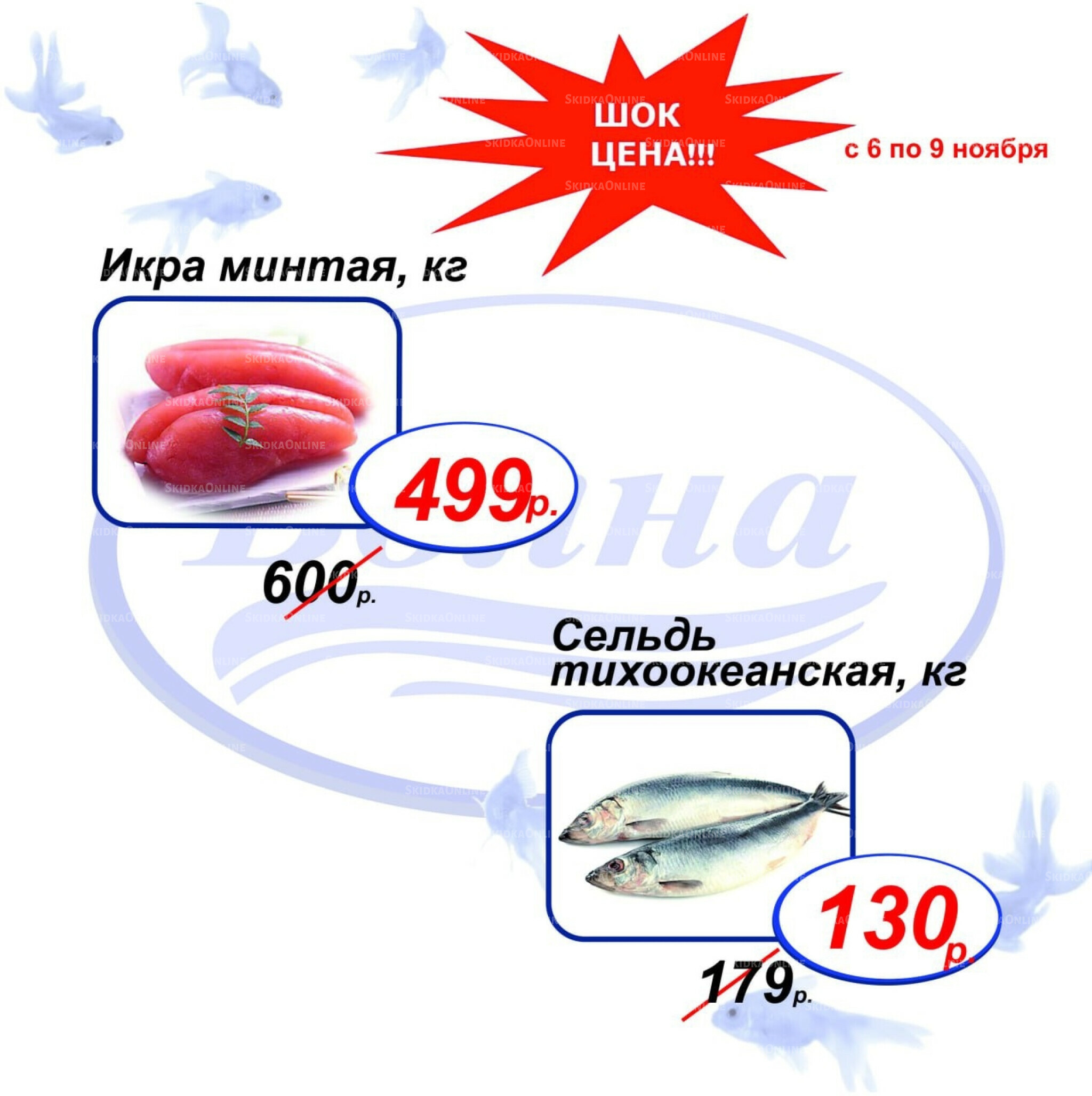 Шок цена 6  - 9 Ноября 2025 2