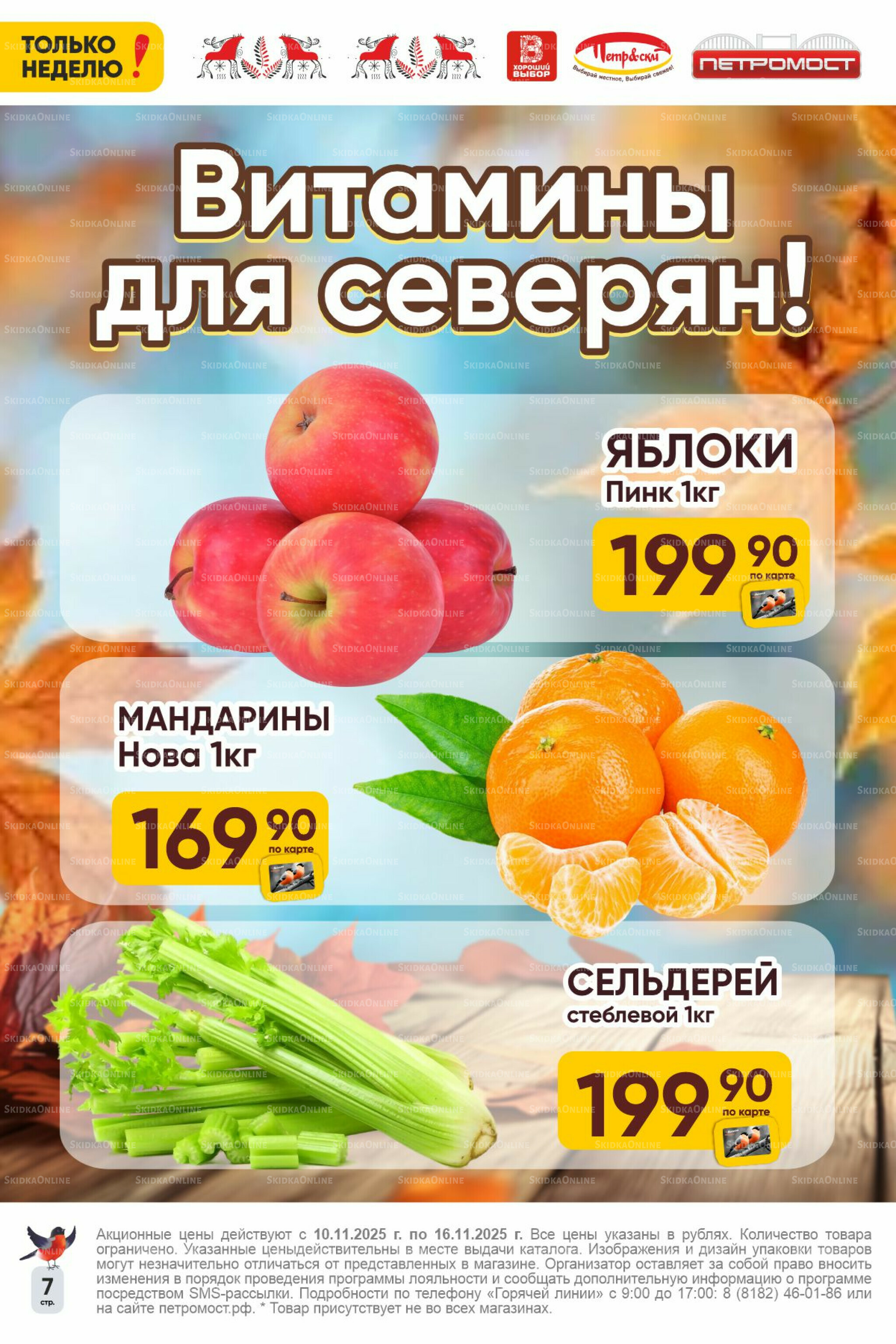 Только неделю! 10  - 16 Ноября 2025 7