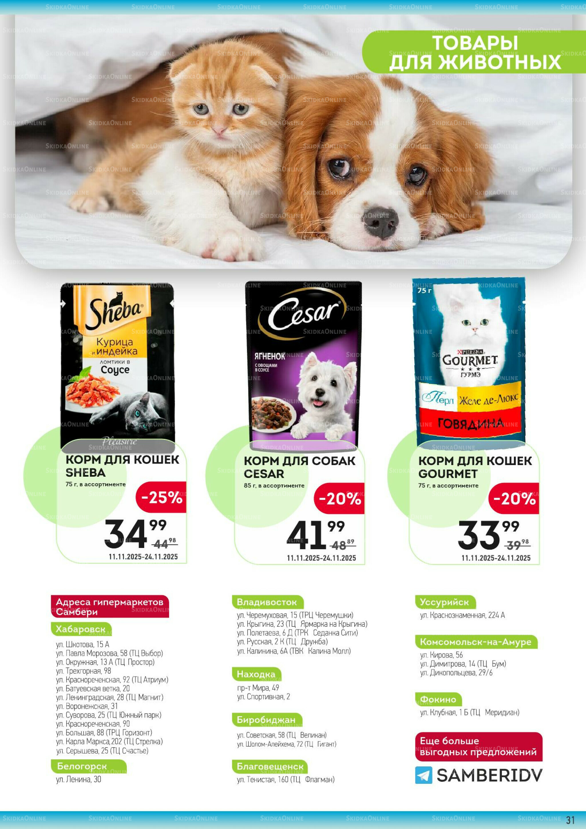 Здесь вкусный завтрак! 11  - 24 Ноября 2025 31