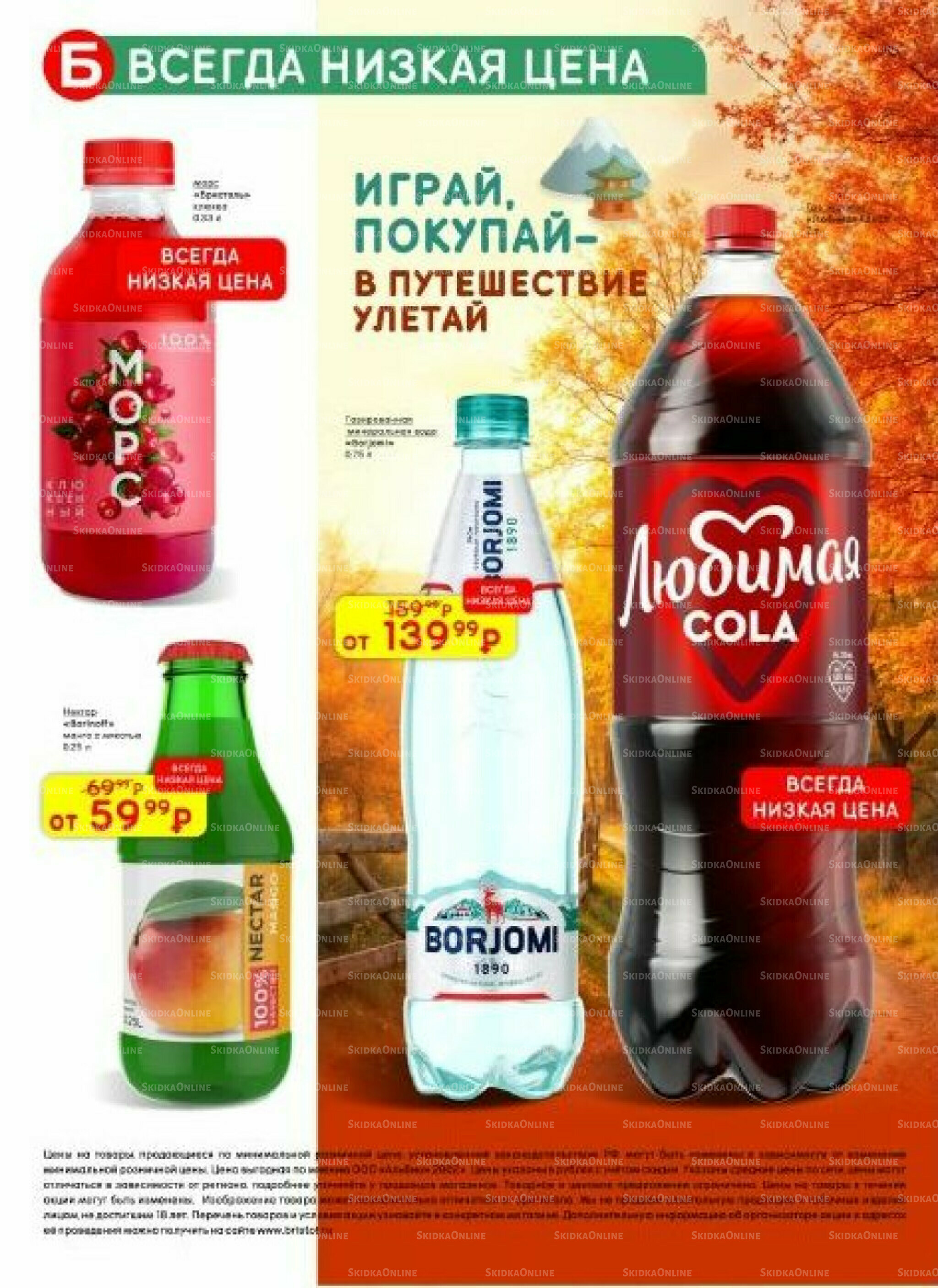 Акционный каталог 11  - 24 Ноября 2025 51