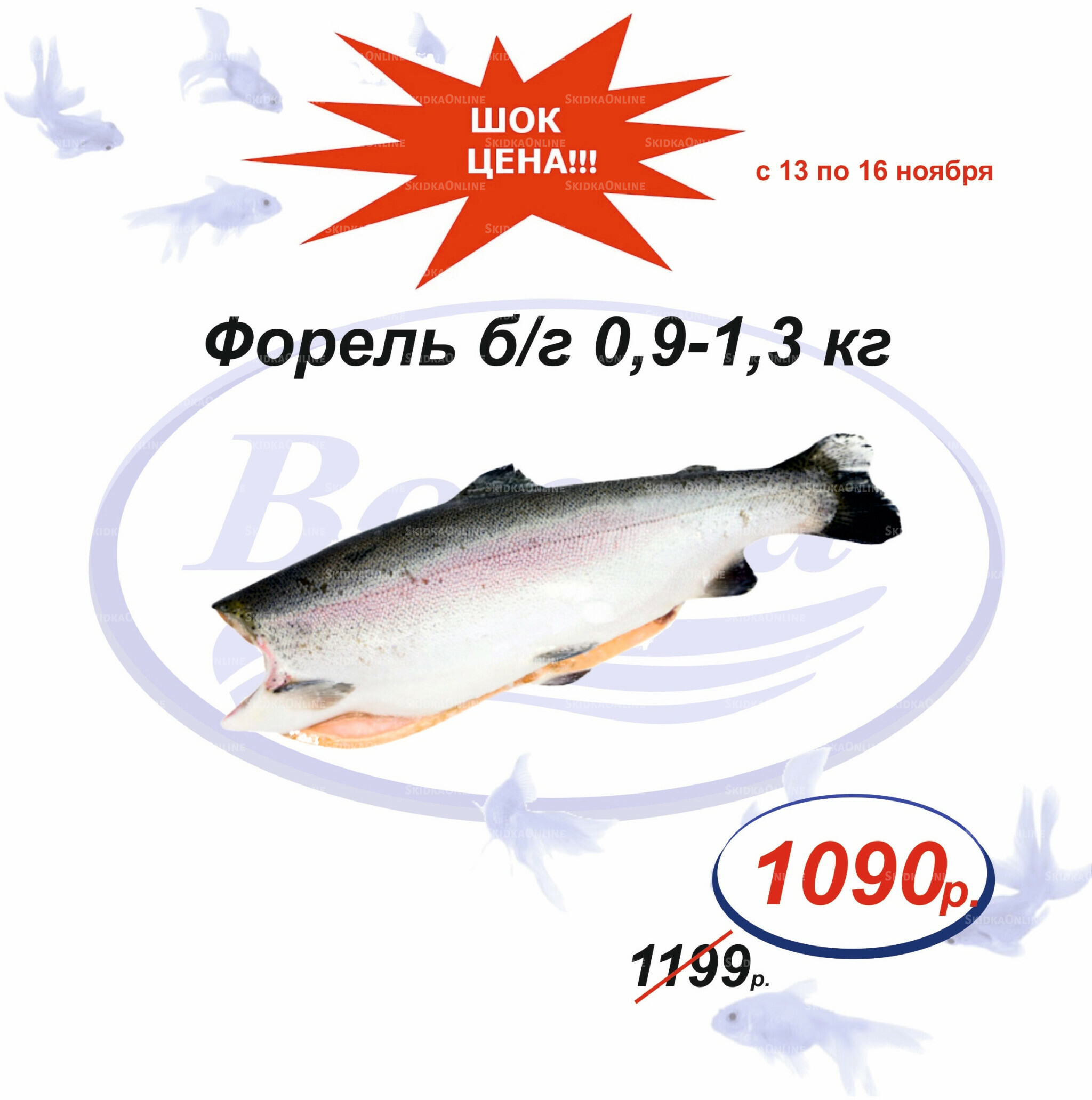 Шок цена 13  - 16 Ноября 2025 4