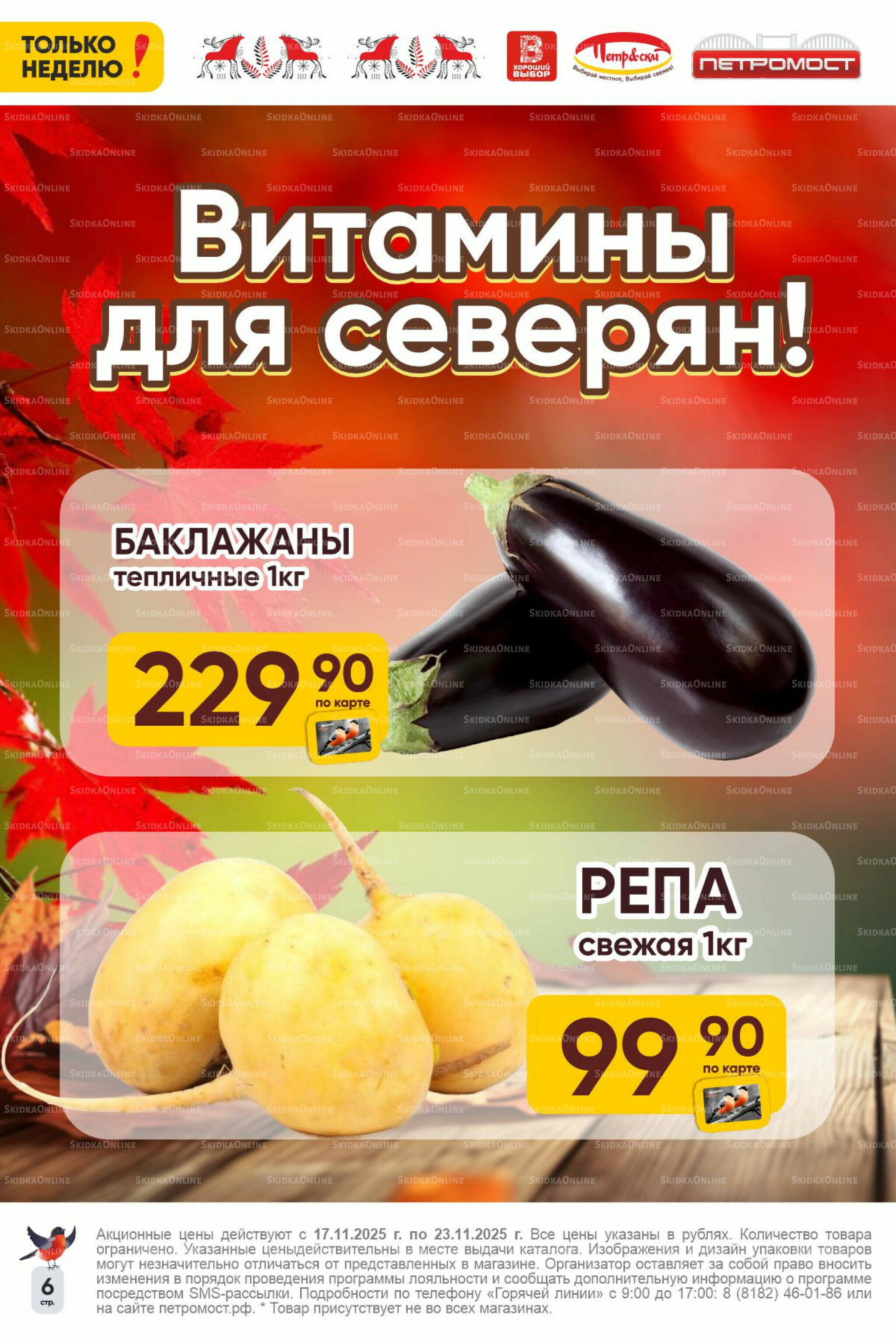 Только неделю! 17  - 23 Ноября 2025 6