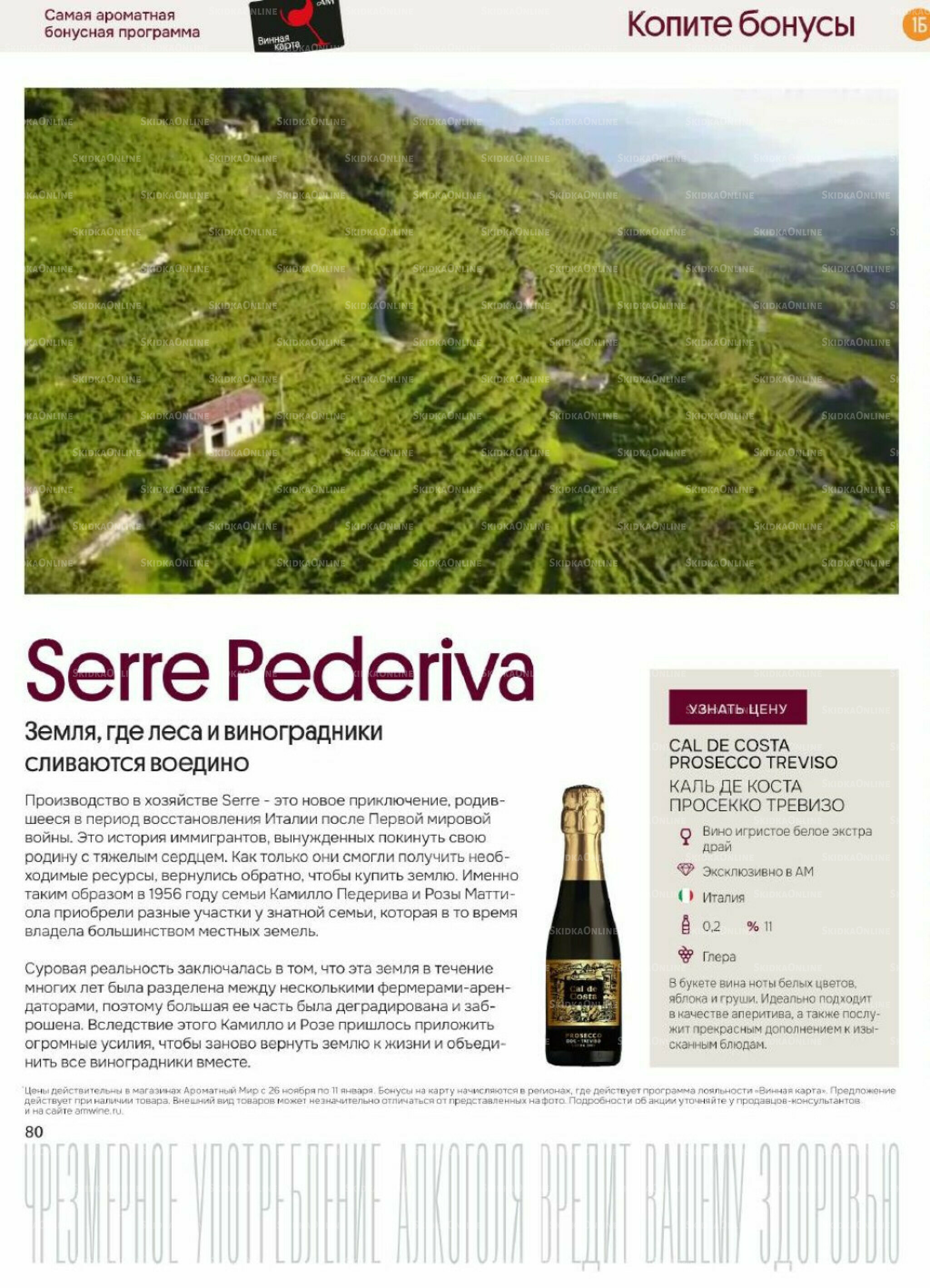 Акционные предложения 26 Ноября 2025 - 11 Января 2026 80