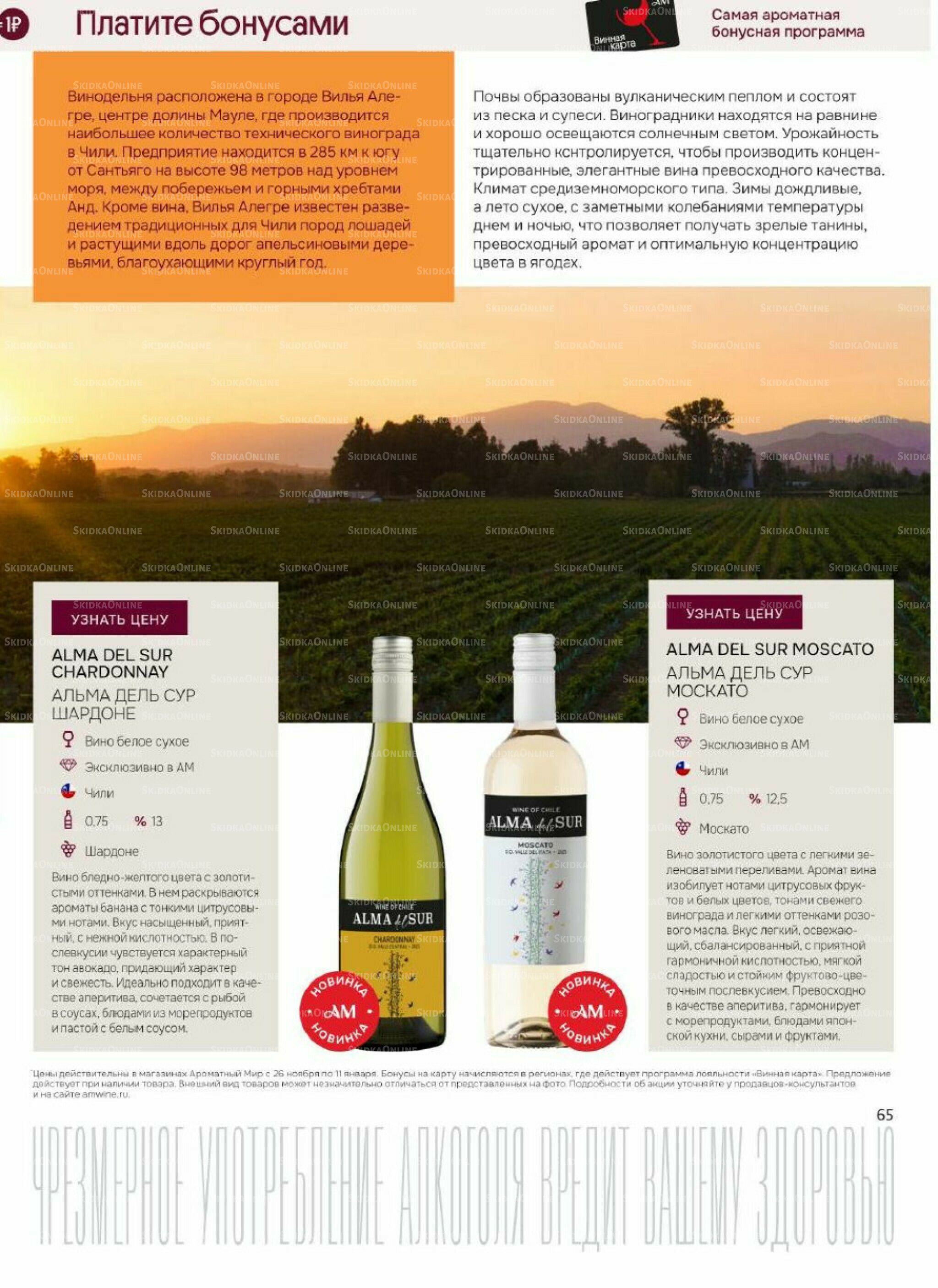 Акционные предложения 26 Ноября 2025 - 11 Января 2026 65