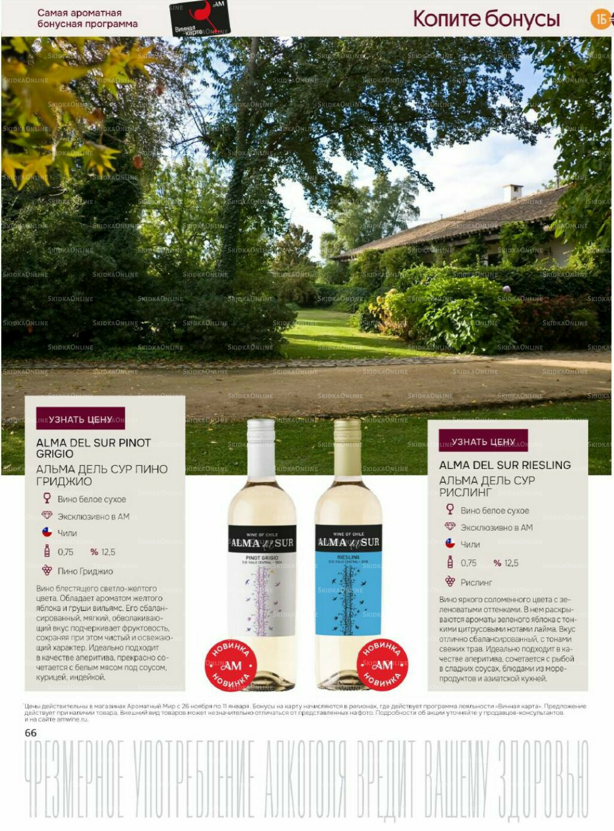 Акционные предложения 26 Ноября 2025 - 11 Января 2026 66