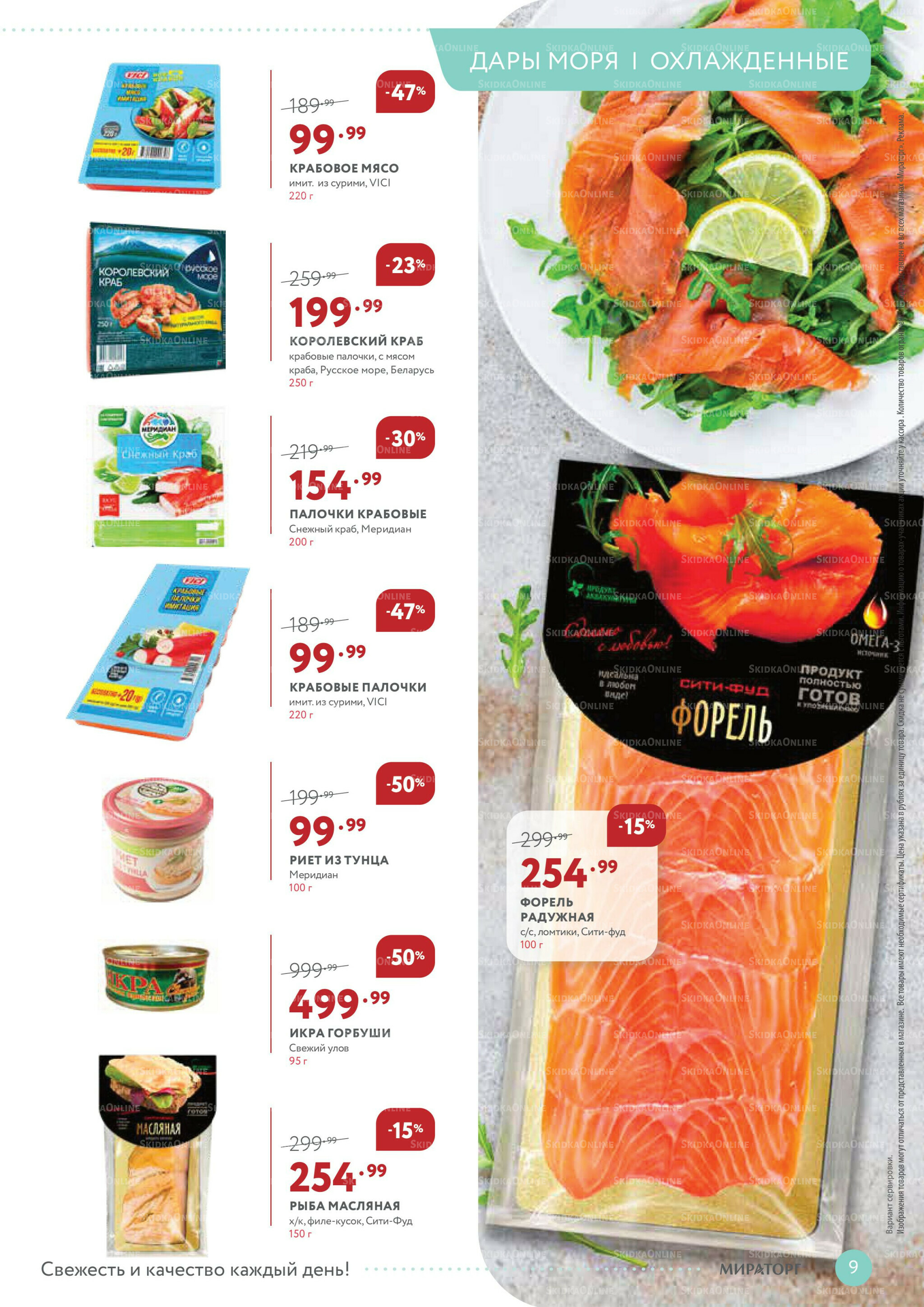 Каталог 1  - 14 Декабря 2025 9