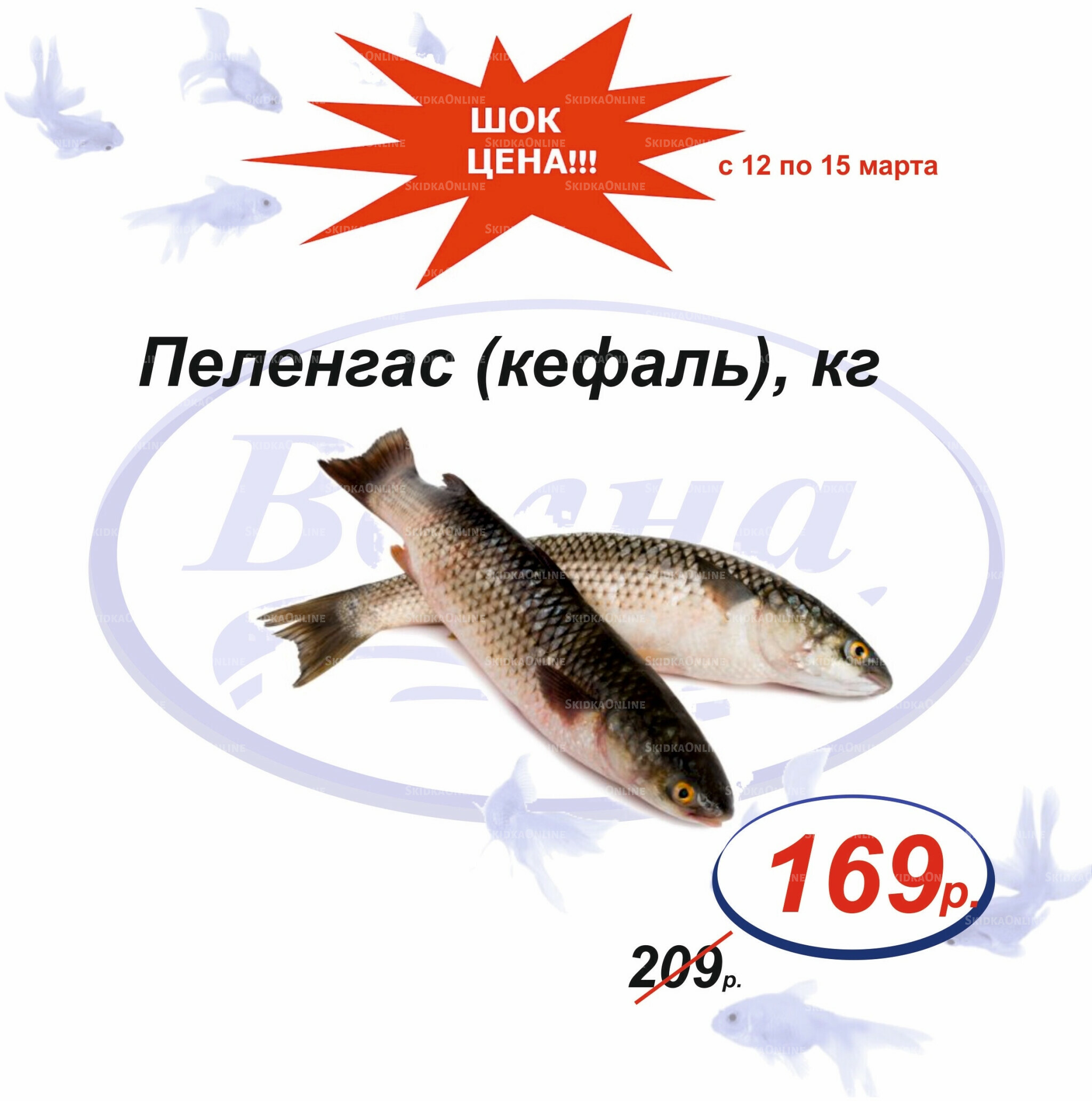 Шок цена 12  - 15 Марта 2026 7