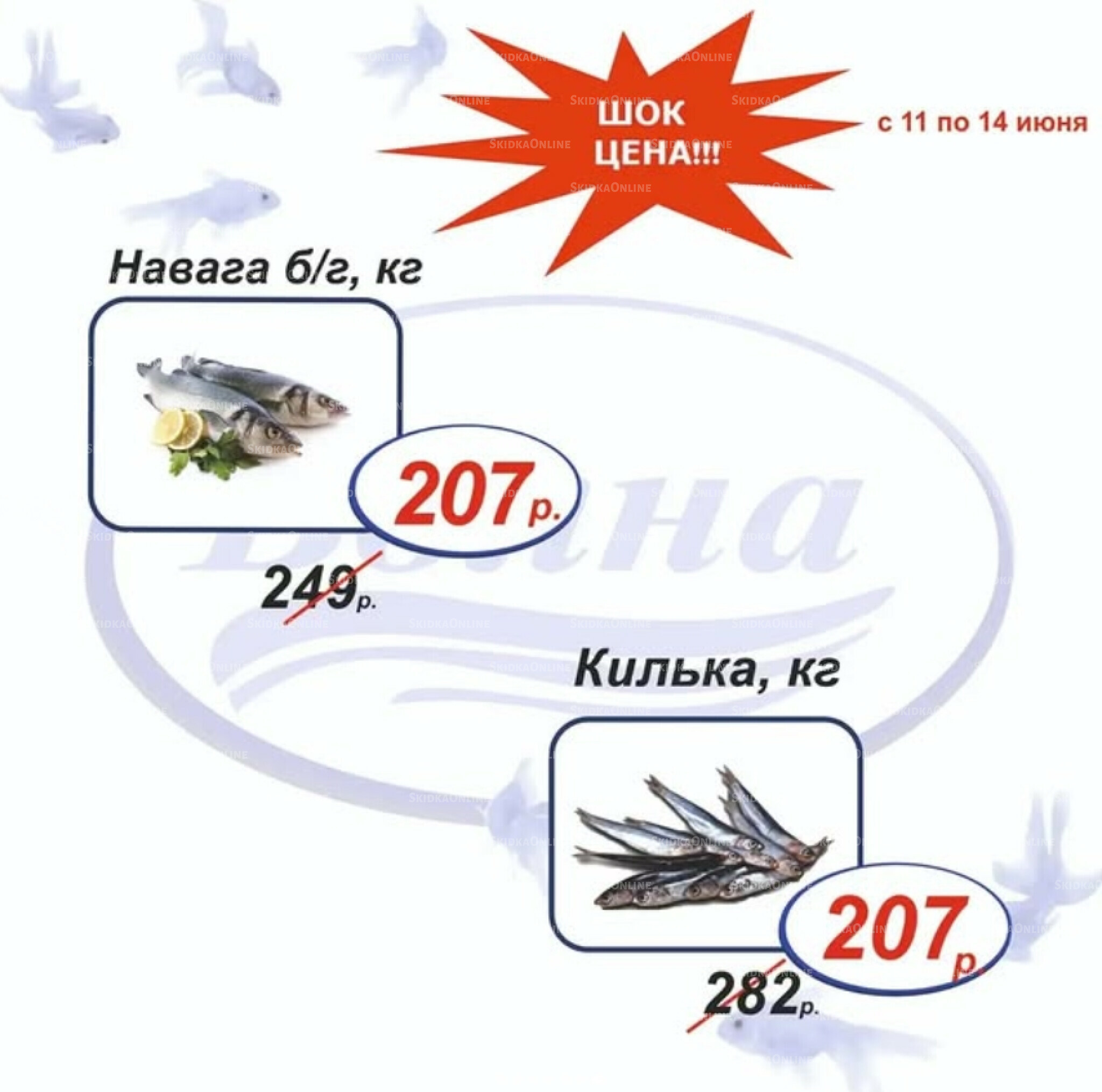 Шок цена 11  - 14 Июня 2026 7