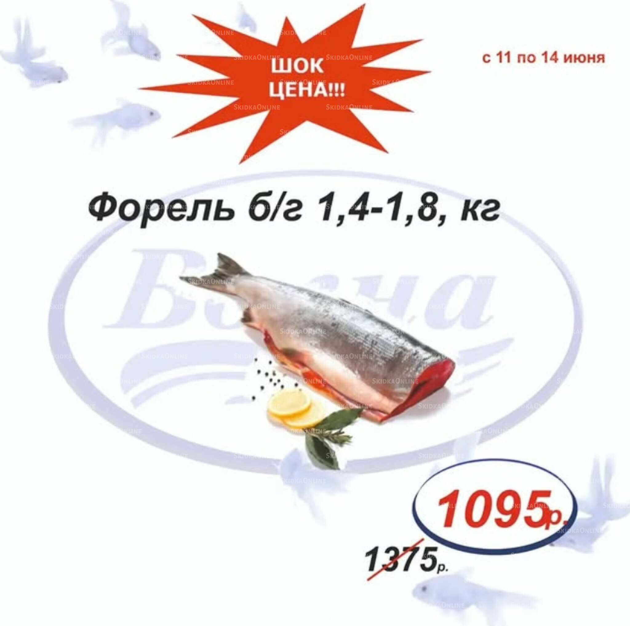 Шок цена 11  - 14 Июня 2026 6