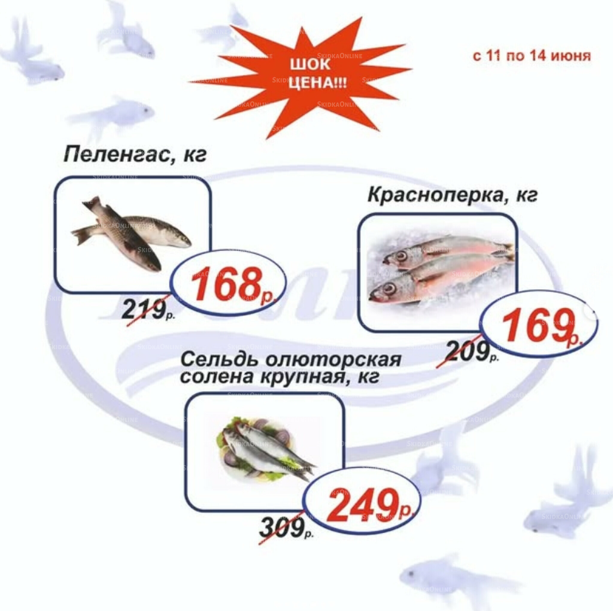 Шок цена 11  - 14 Июня 2026 5