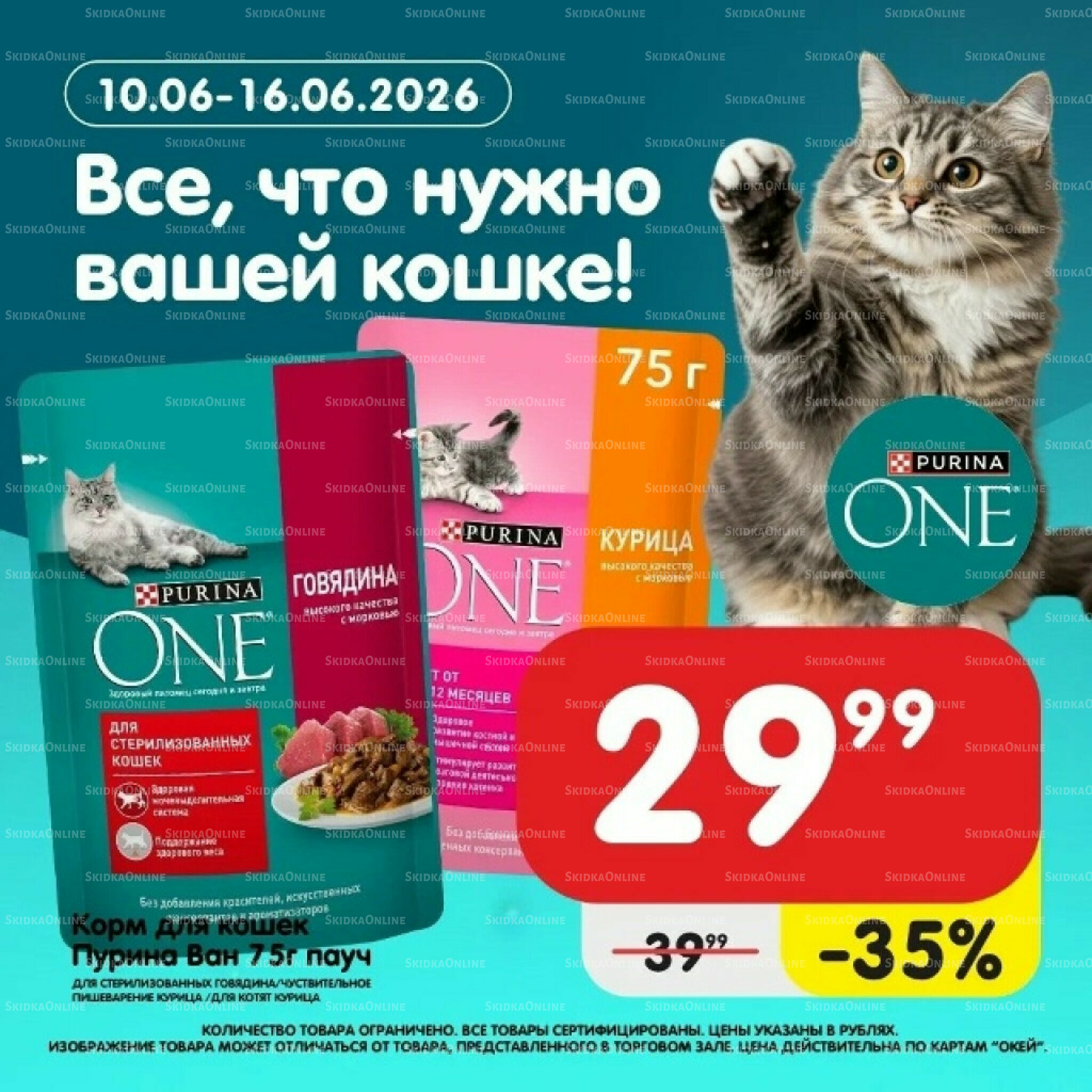 Все, что нужно вашей кошке! 10  - 16 Июня 2026 1
