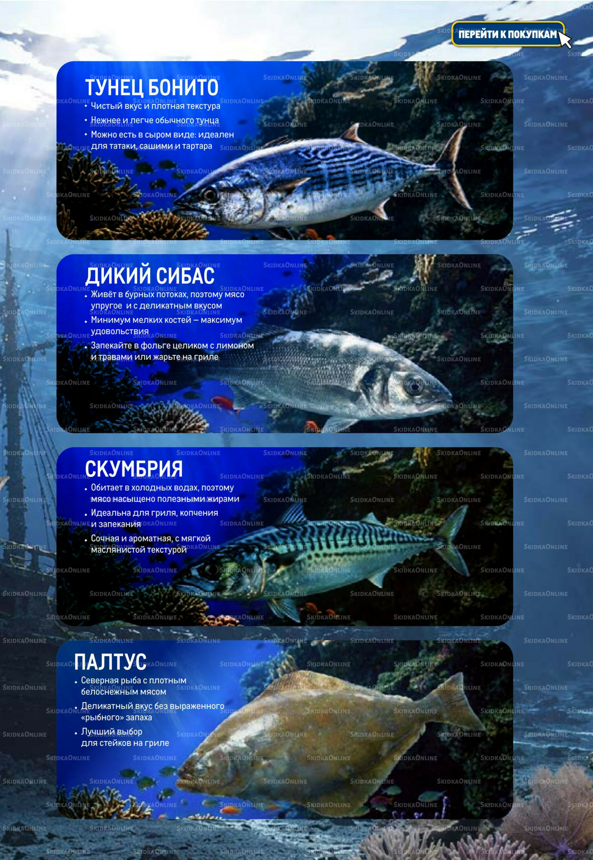 Каталог 18 Июня - 1 Июля 2026 5