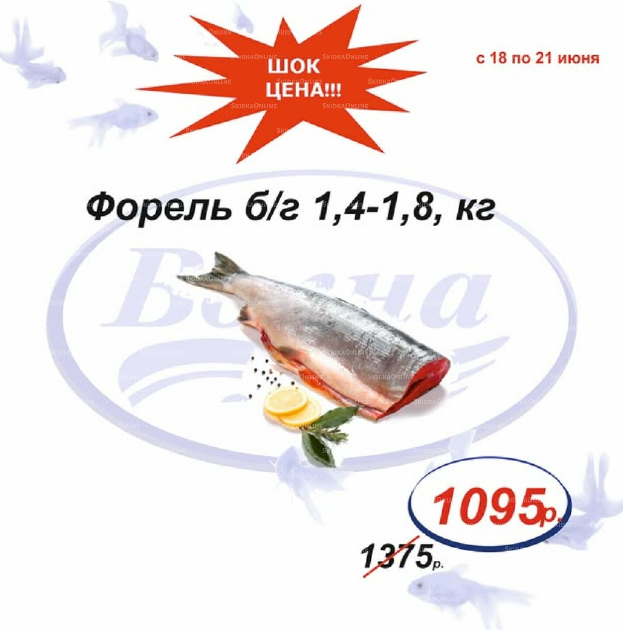 Шок цена 18  - 21 Июня 2026 7