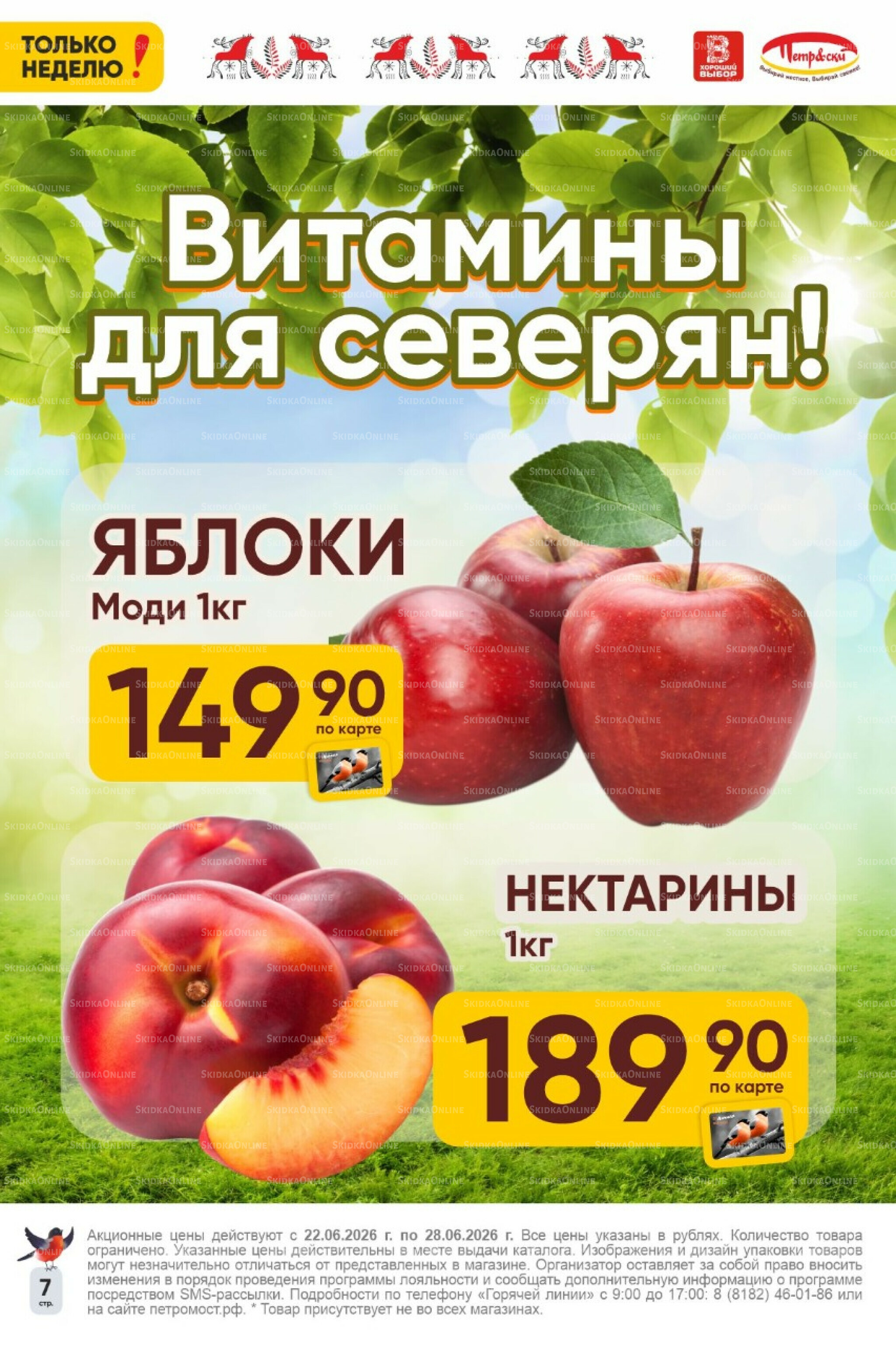 Только неделю! 22  - 28 Июня 2026 7
