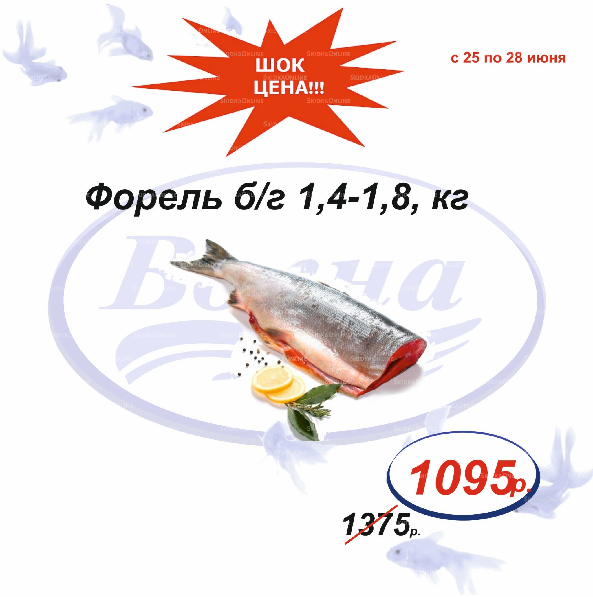 Шок цена 25  - 28 Июня 2026 10