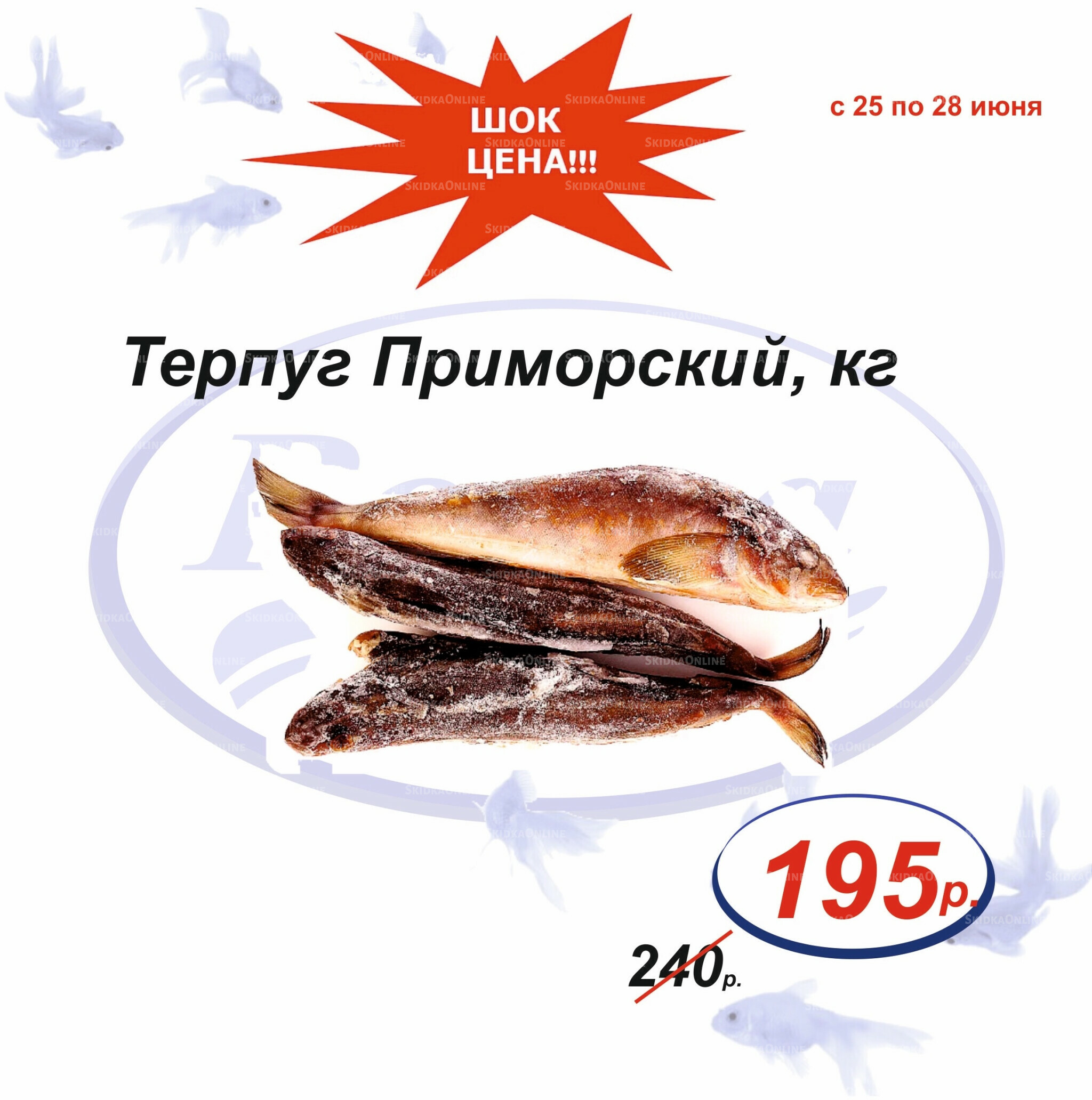 Шок цена 25  - 28 Июня 2026 6