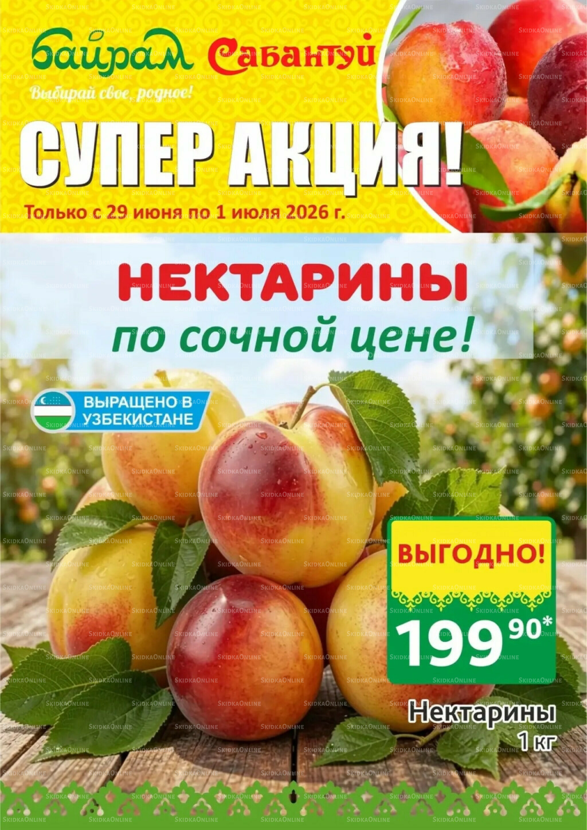 Выбирай свое, родное! 29 Июня - 1 Июля 2026 3