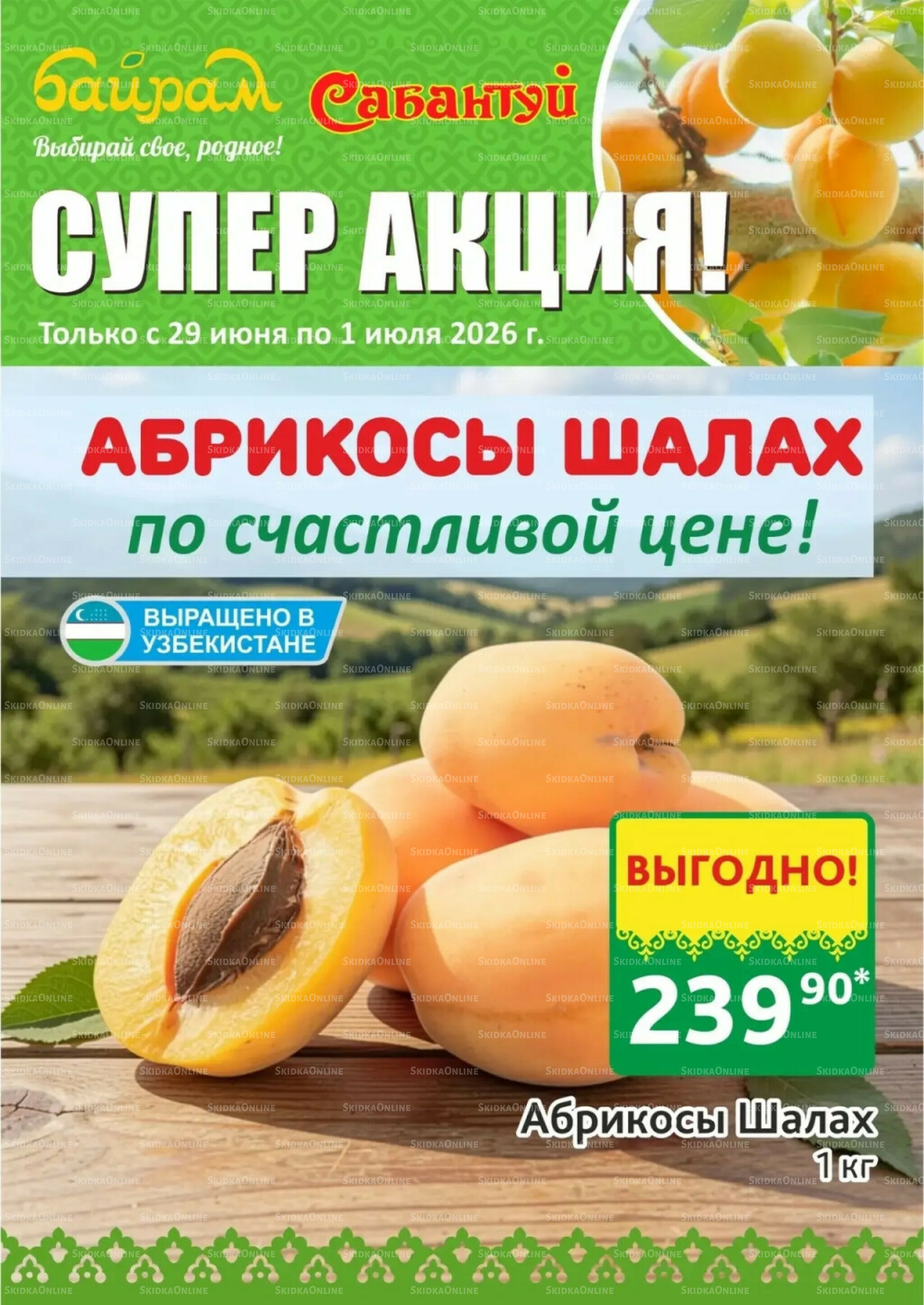 Выбирай свое, родное! 29 Июня - 1 Июля 2026 4