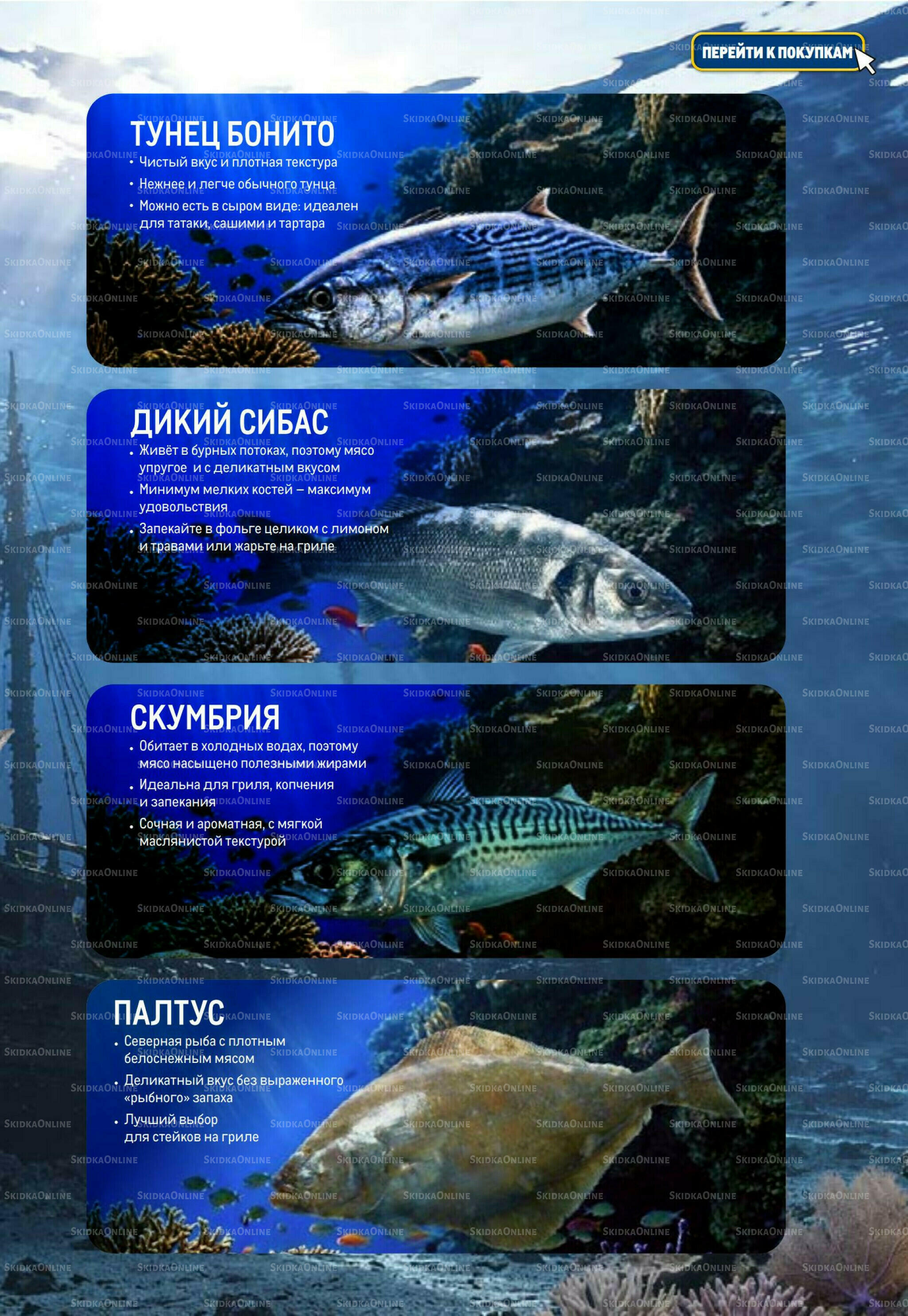 Каталог 2  - 15 Июля 2026 5