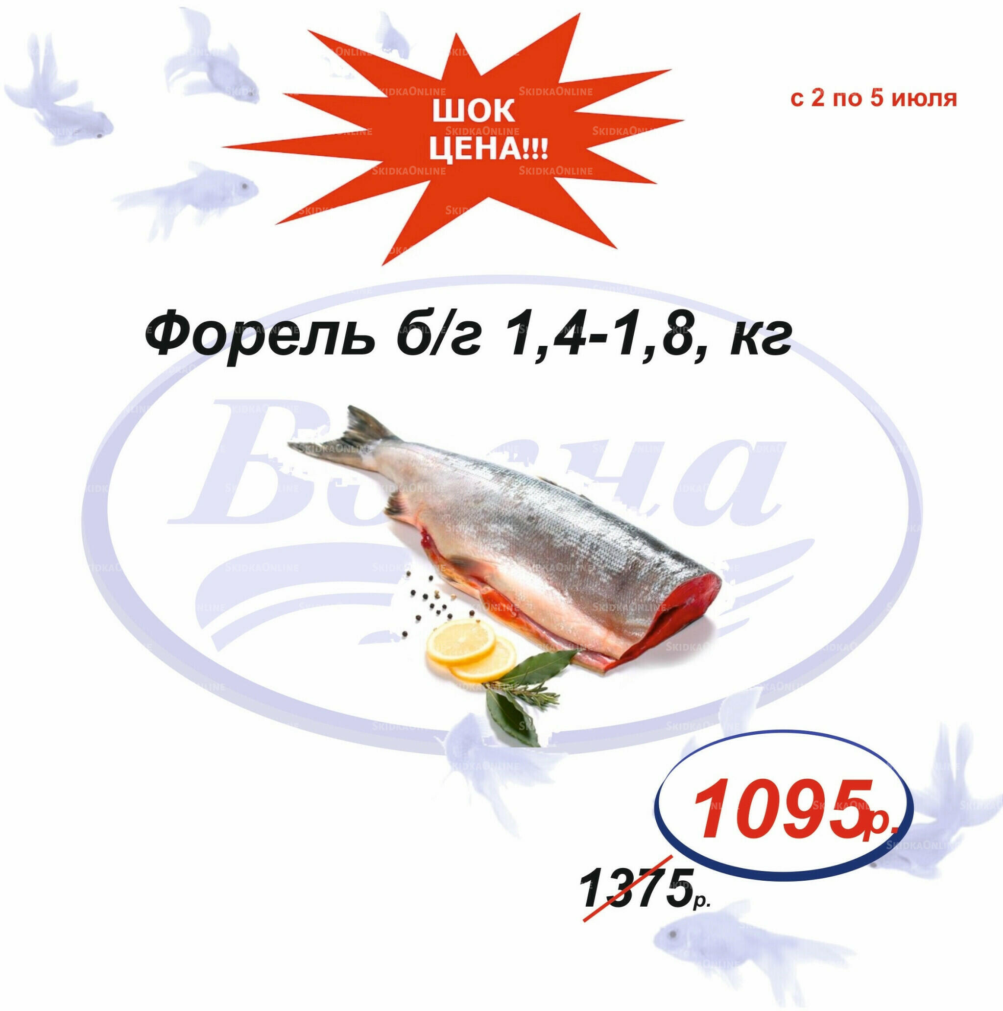 Шок цена 2  - 5 Июля 2026 1