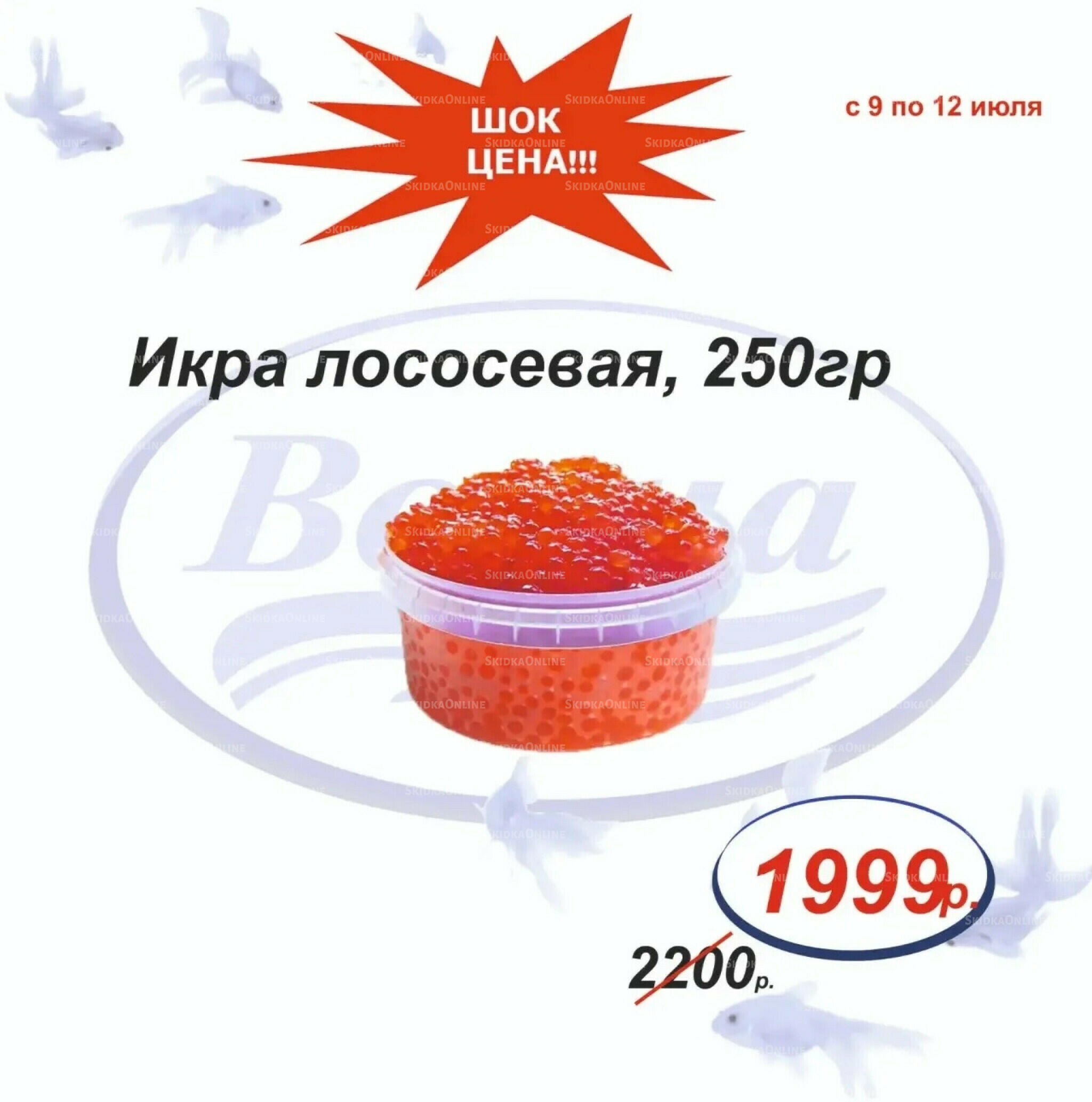 Шок цена 9  - 12 Июля 2026 6