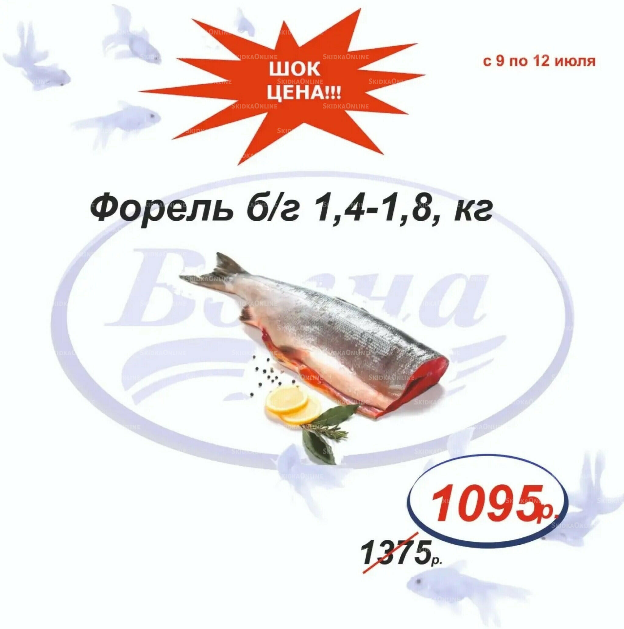 Шок цена 9  - 12 Июля 2026 8