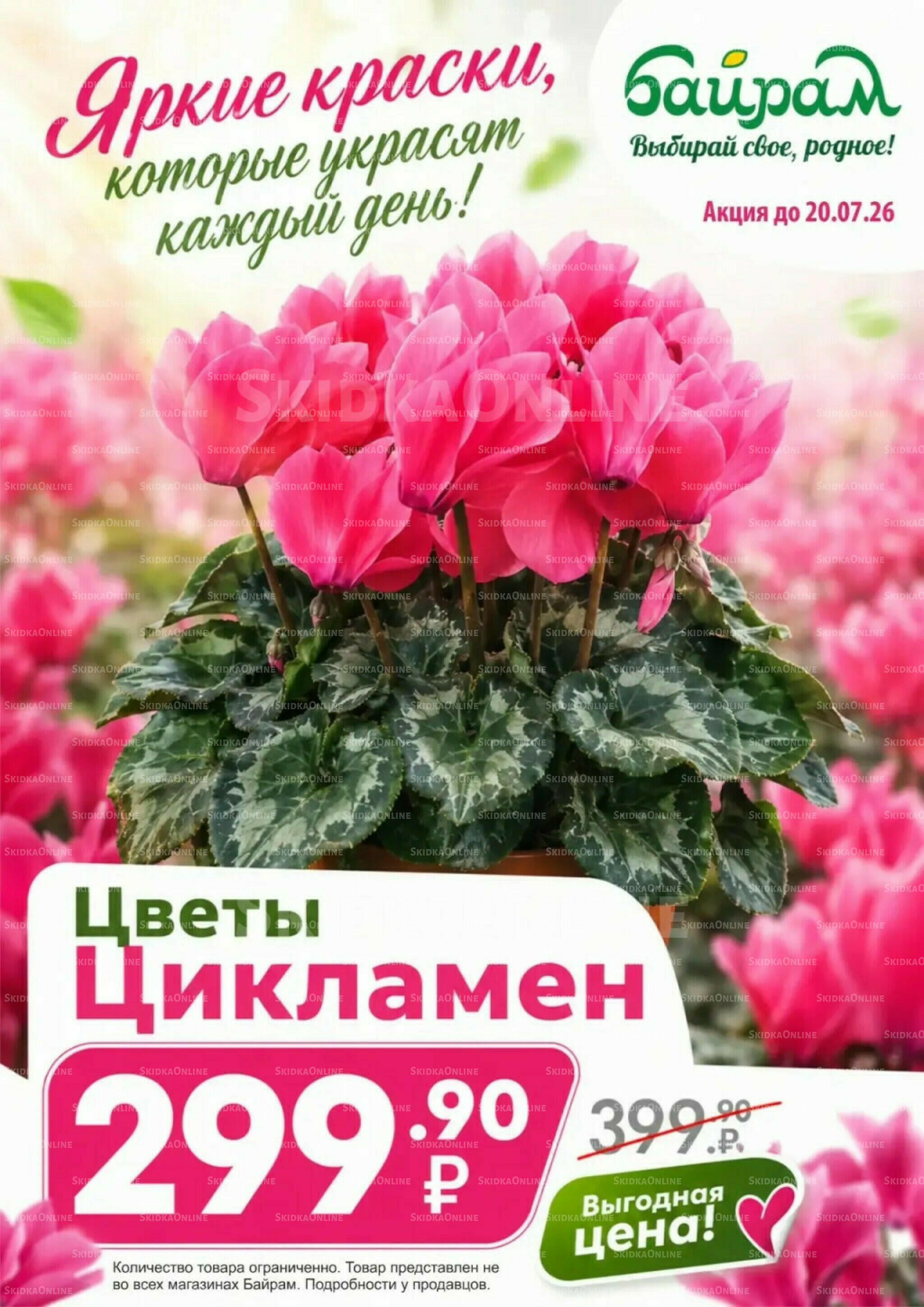 Яркие краски, которые украсят каждый день! 9  - 20 Июля 2026 1