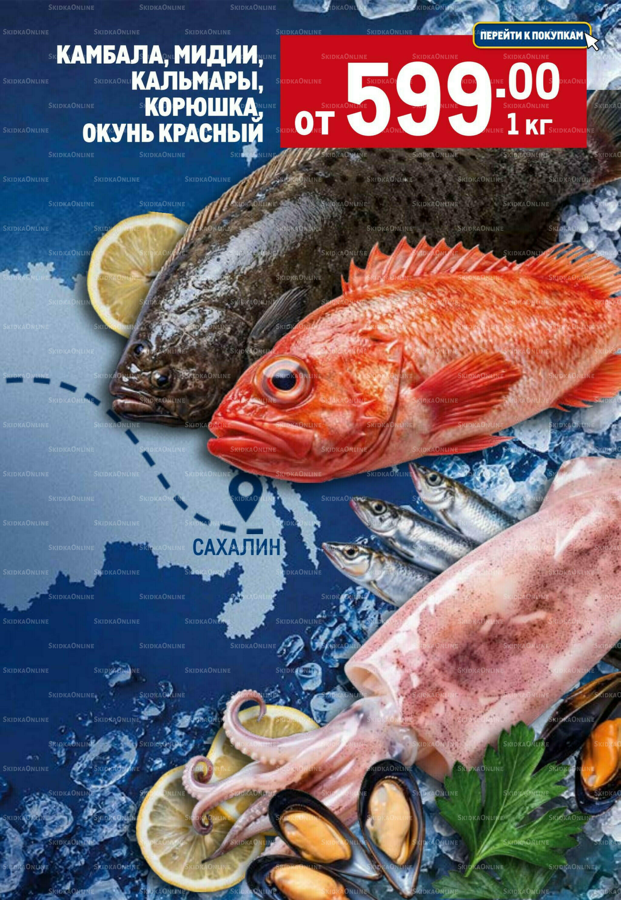 Каталог 16  - 29 Июля 2026 5