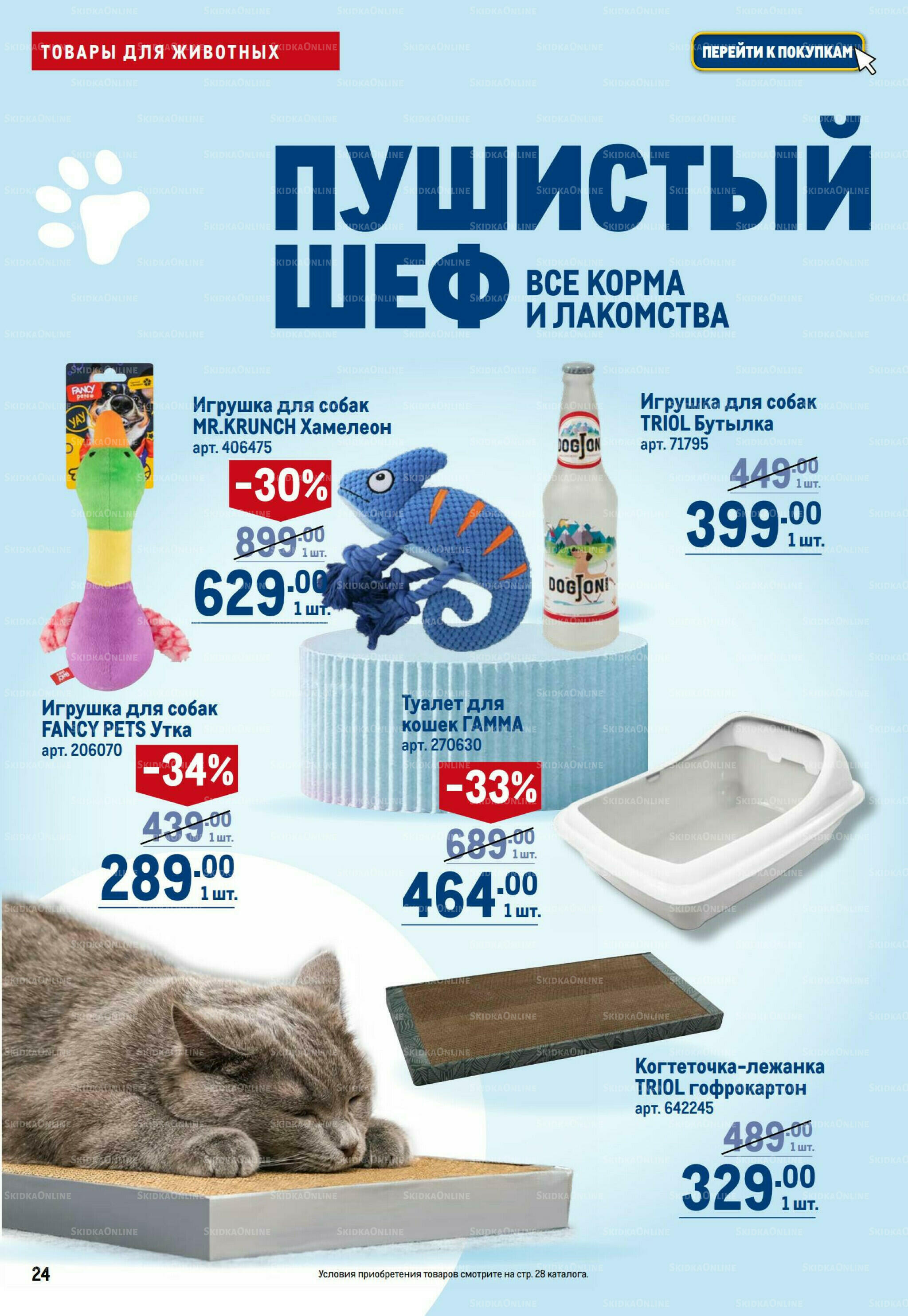 Пушистый шеф 16  - 29 Июля 2026 24