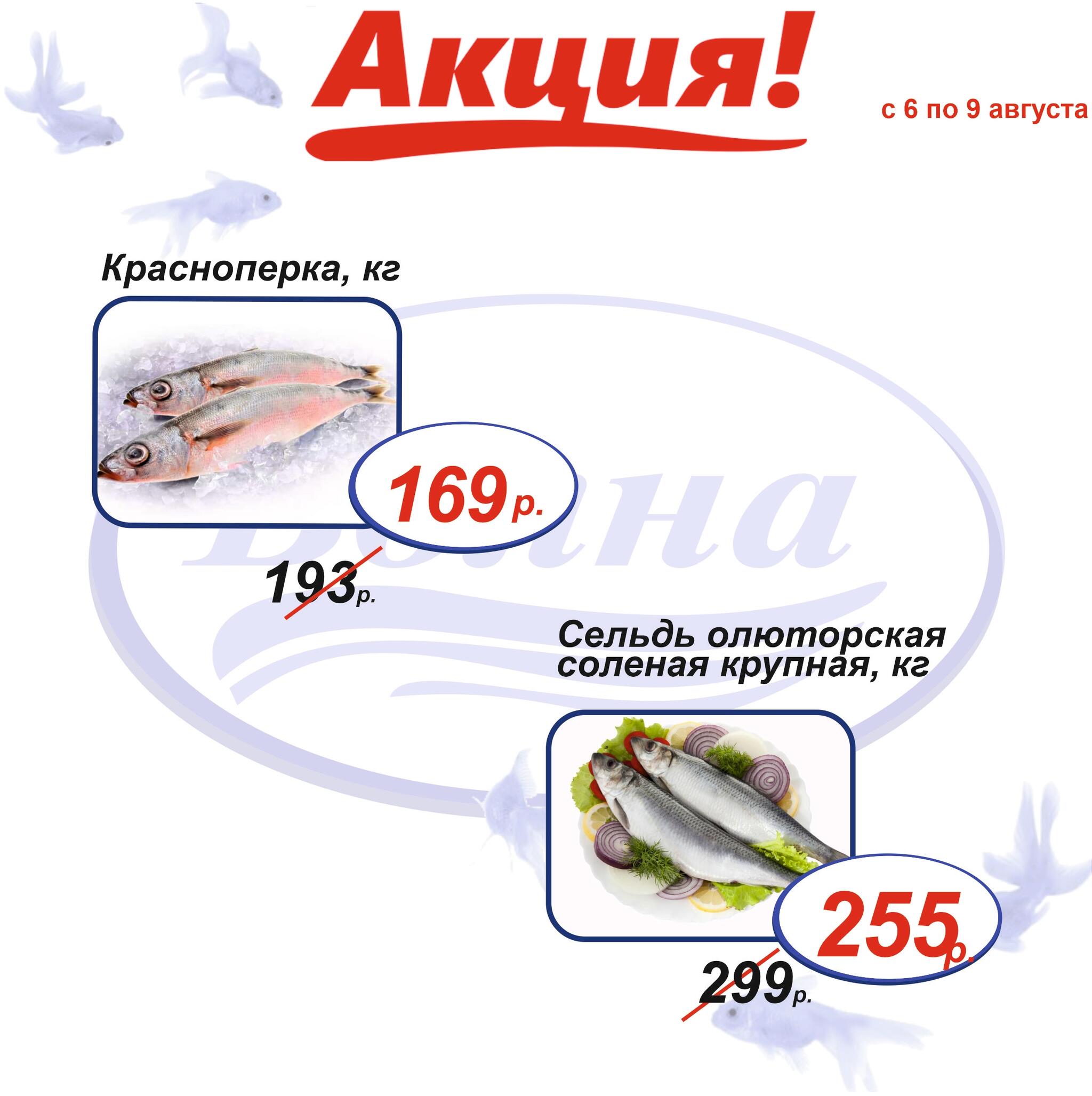Шок цена 6  - 9 Августа 2026 6