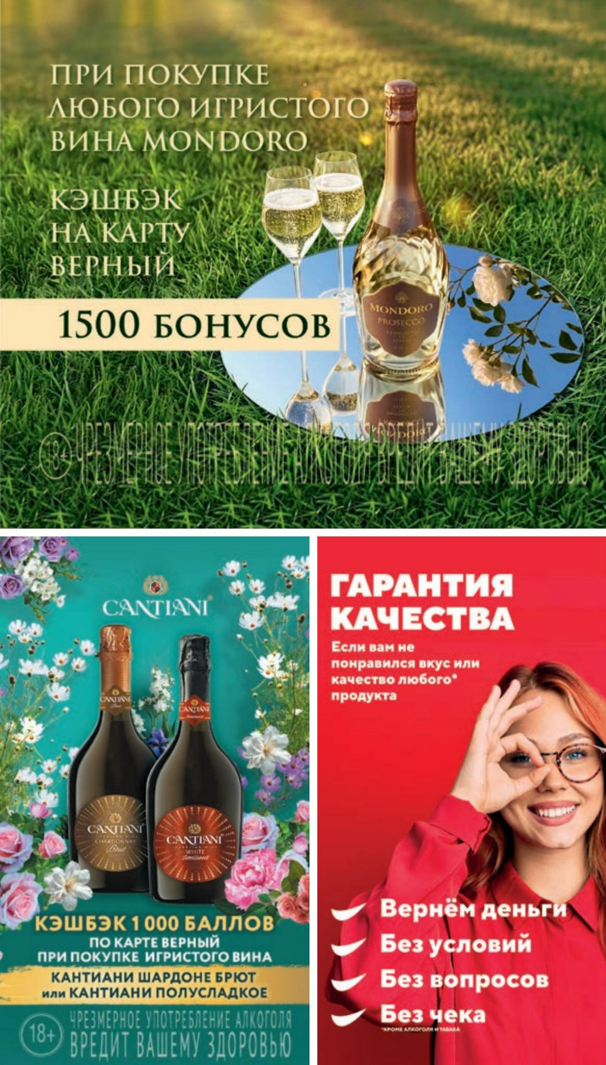 Сентябрь  13 Августа - 8 Сентября 2026 33