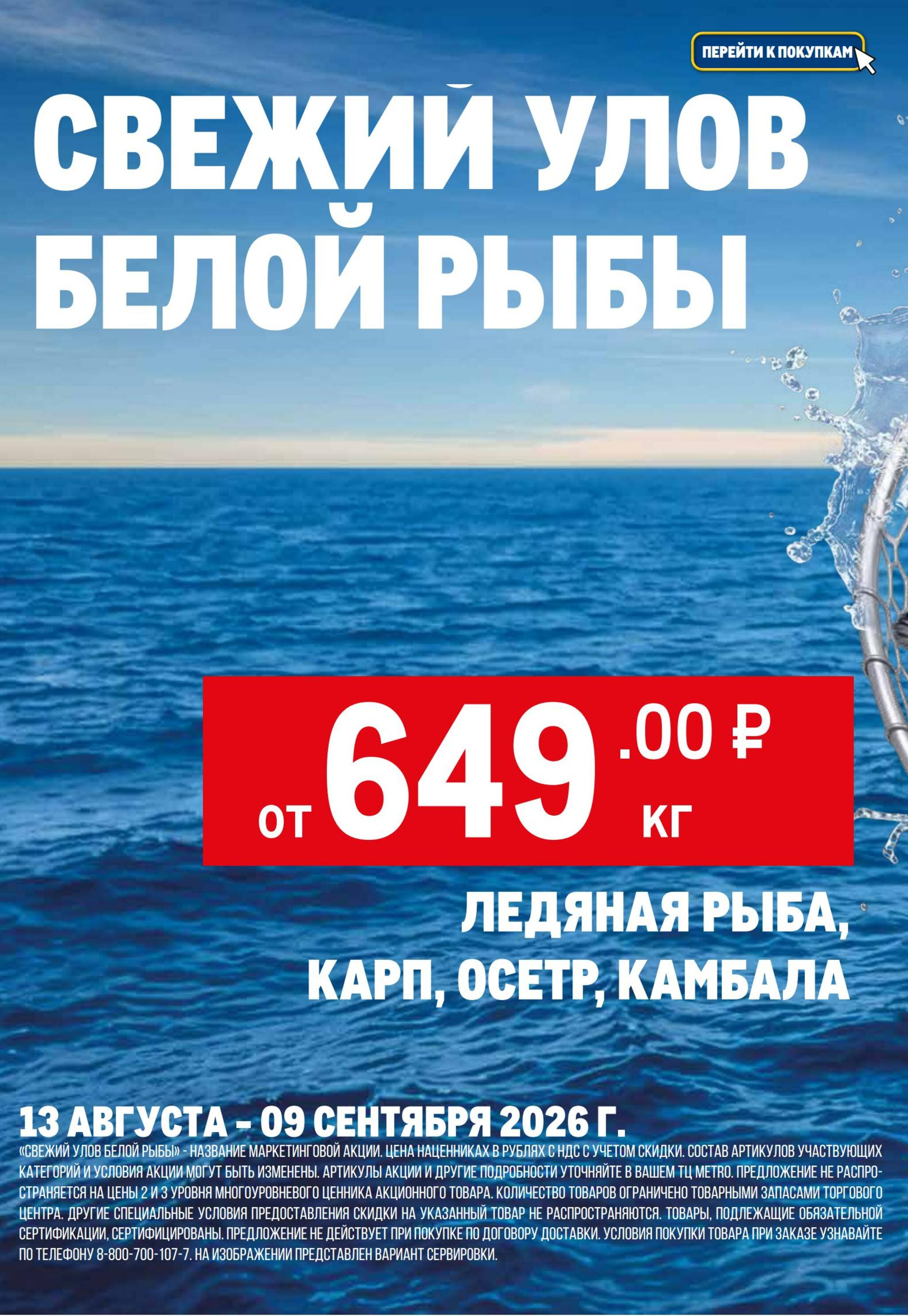 Каталог 13  - 26 Августа 2026 4