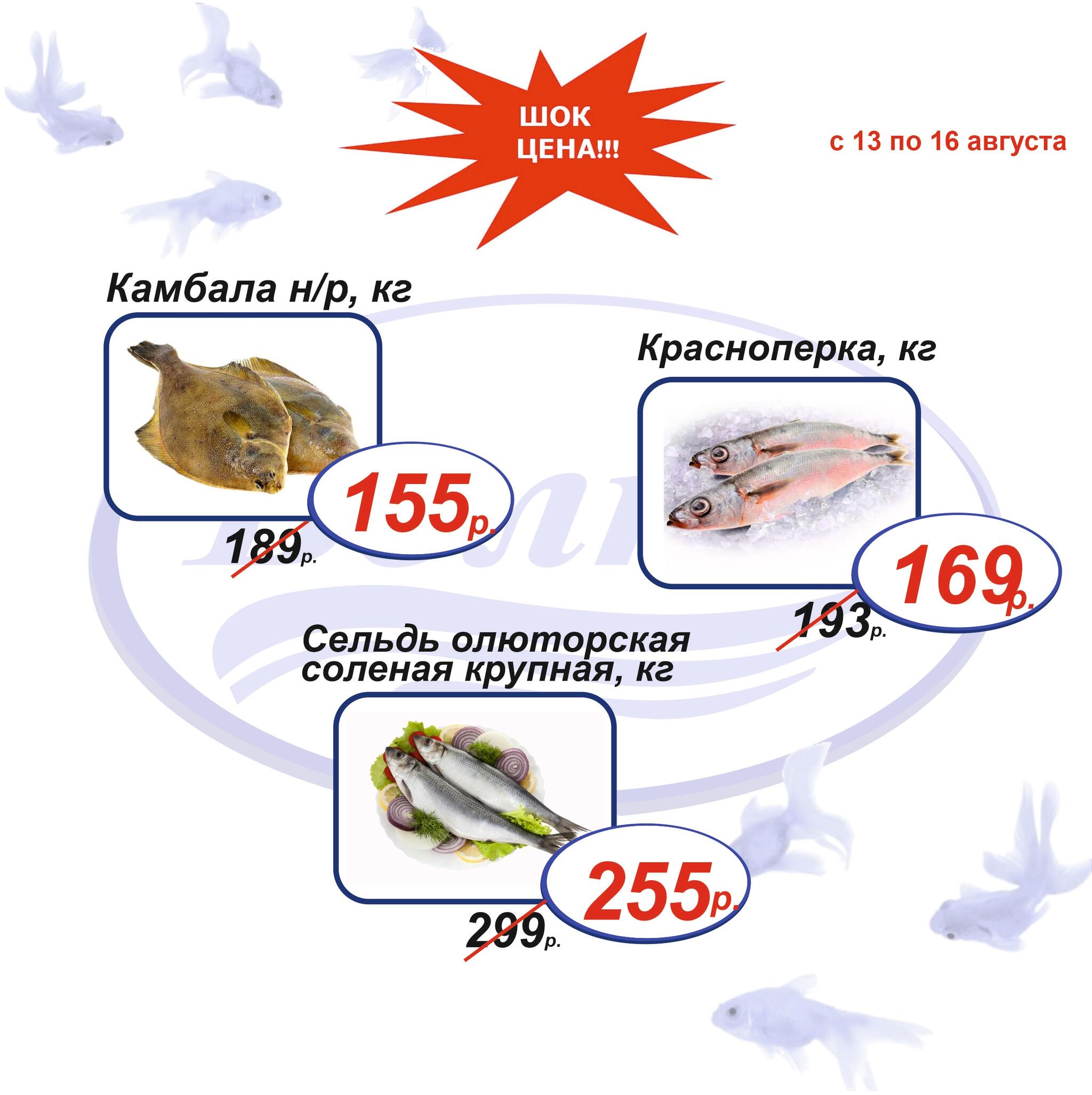 Шок цена 13  - 16 Августа 2026 6