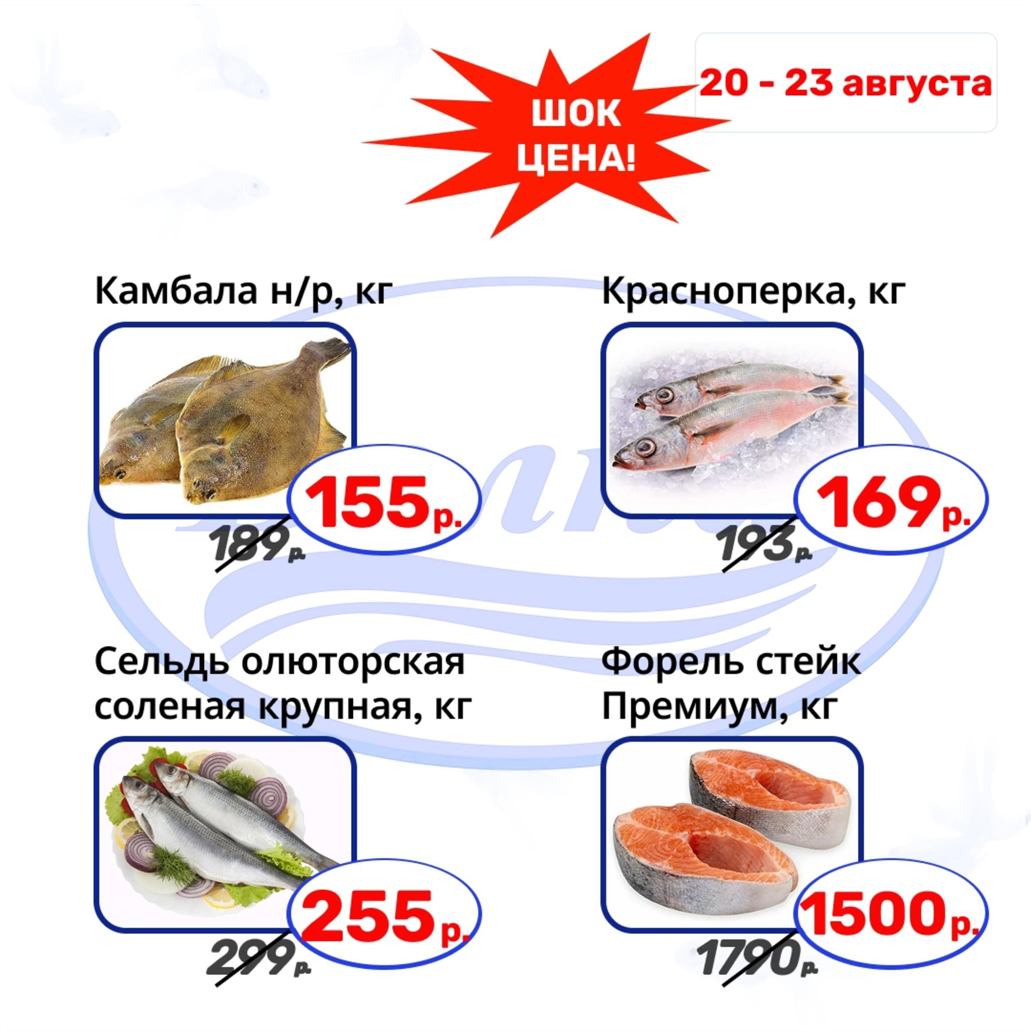 Шок цена 20  - 23 Августа 2026 4