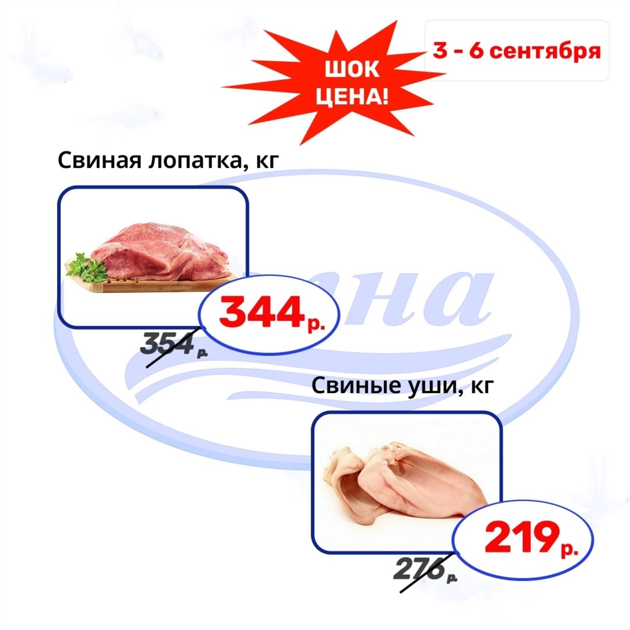 Шок цена 3  - 6 Сентября 2026 6