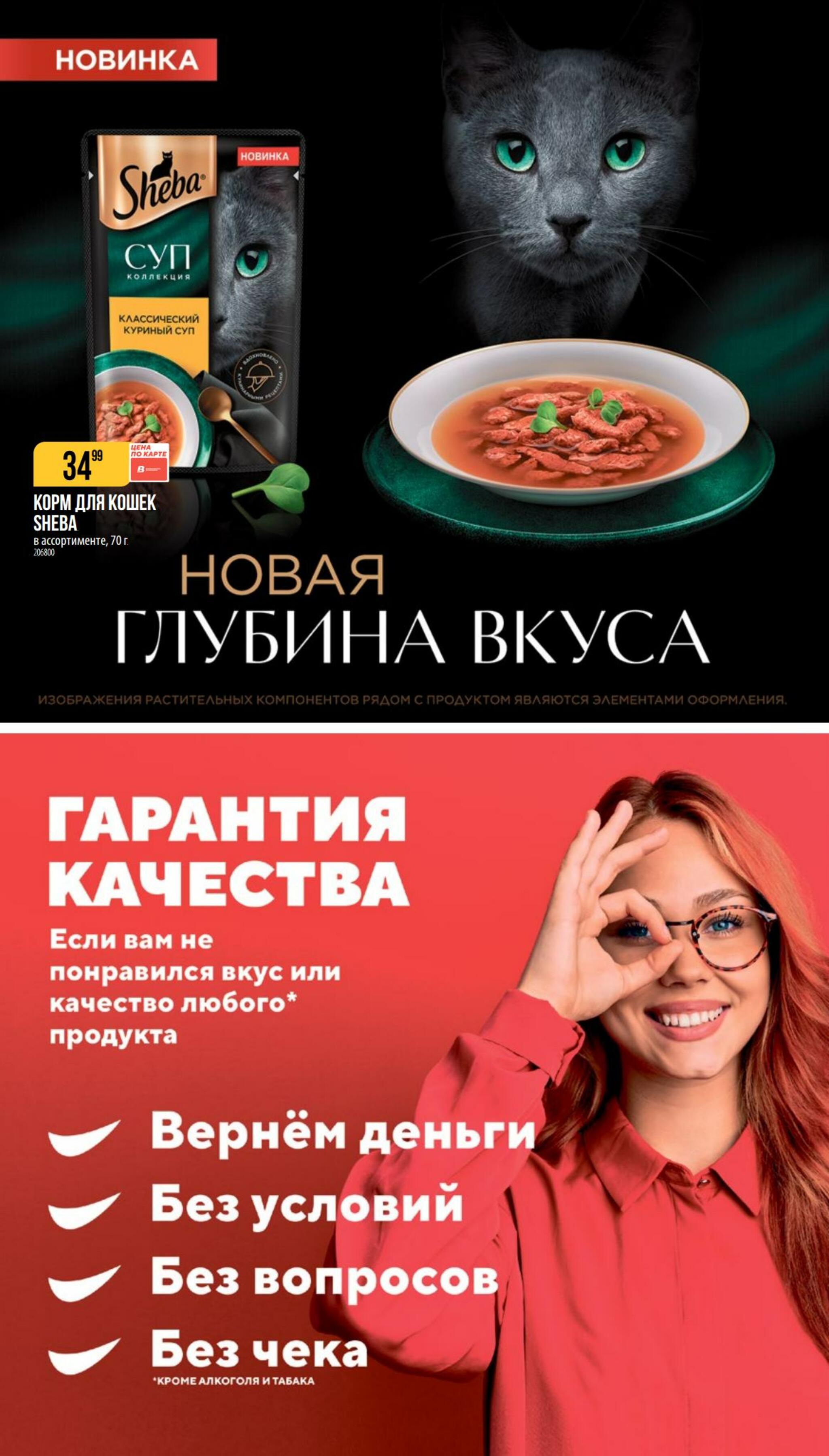 Октябрь 10 Сентября - 6 Октября 2026 31