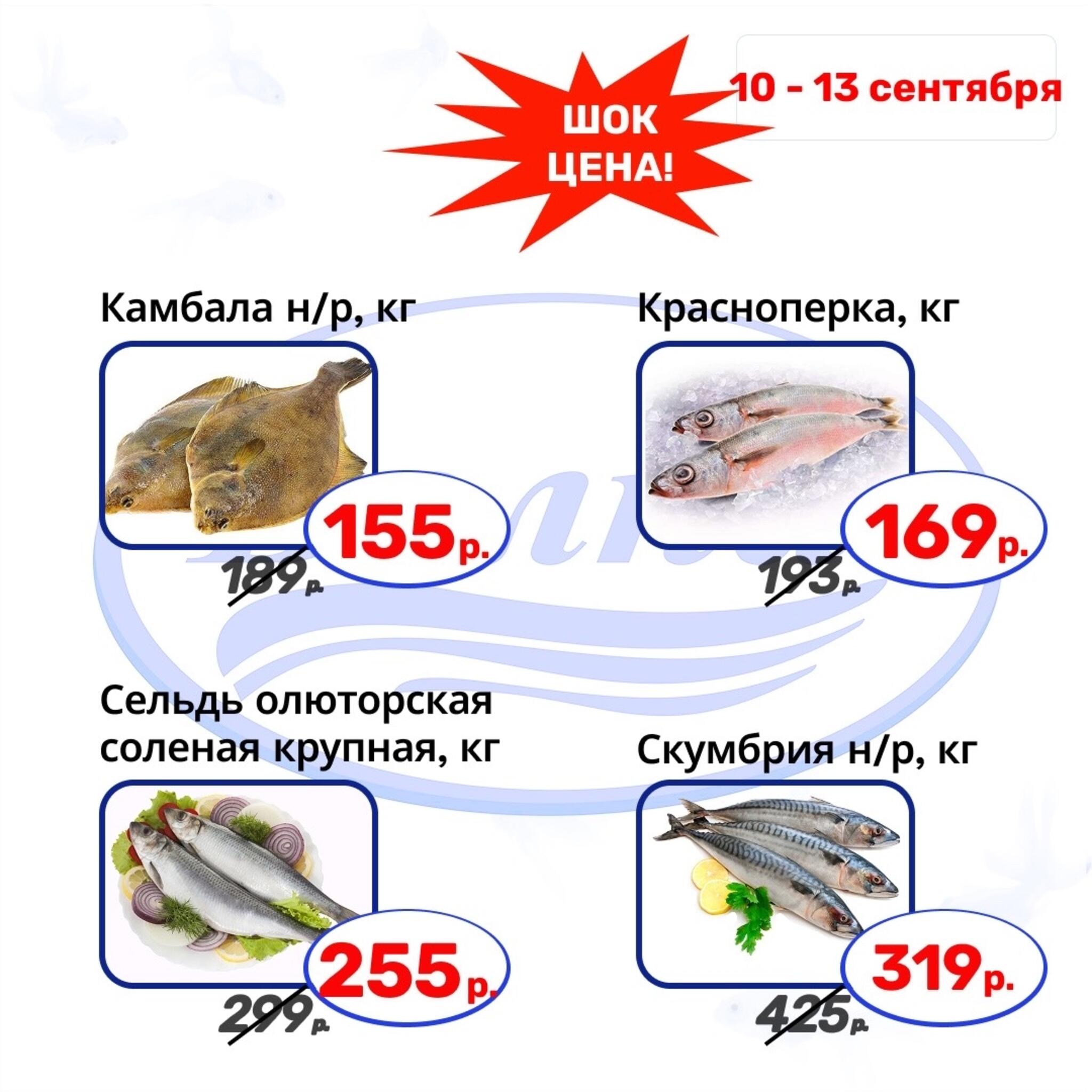 Шок цена 10  - 13 Сентября 2026 5