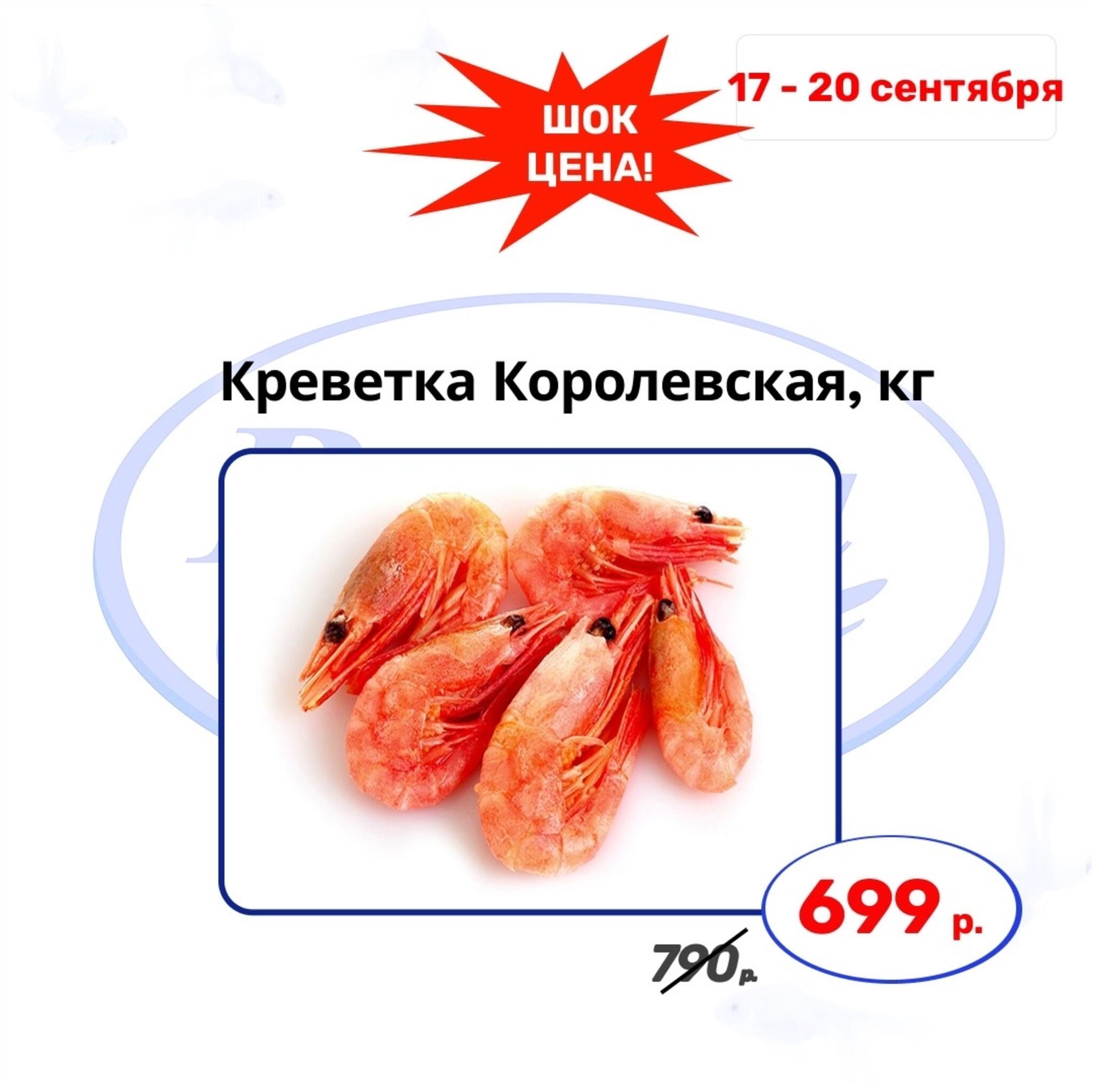 Шок цена 17  - 20 Сентября 2026 4