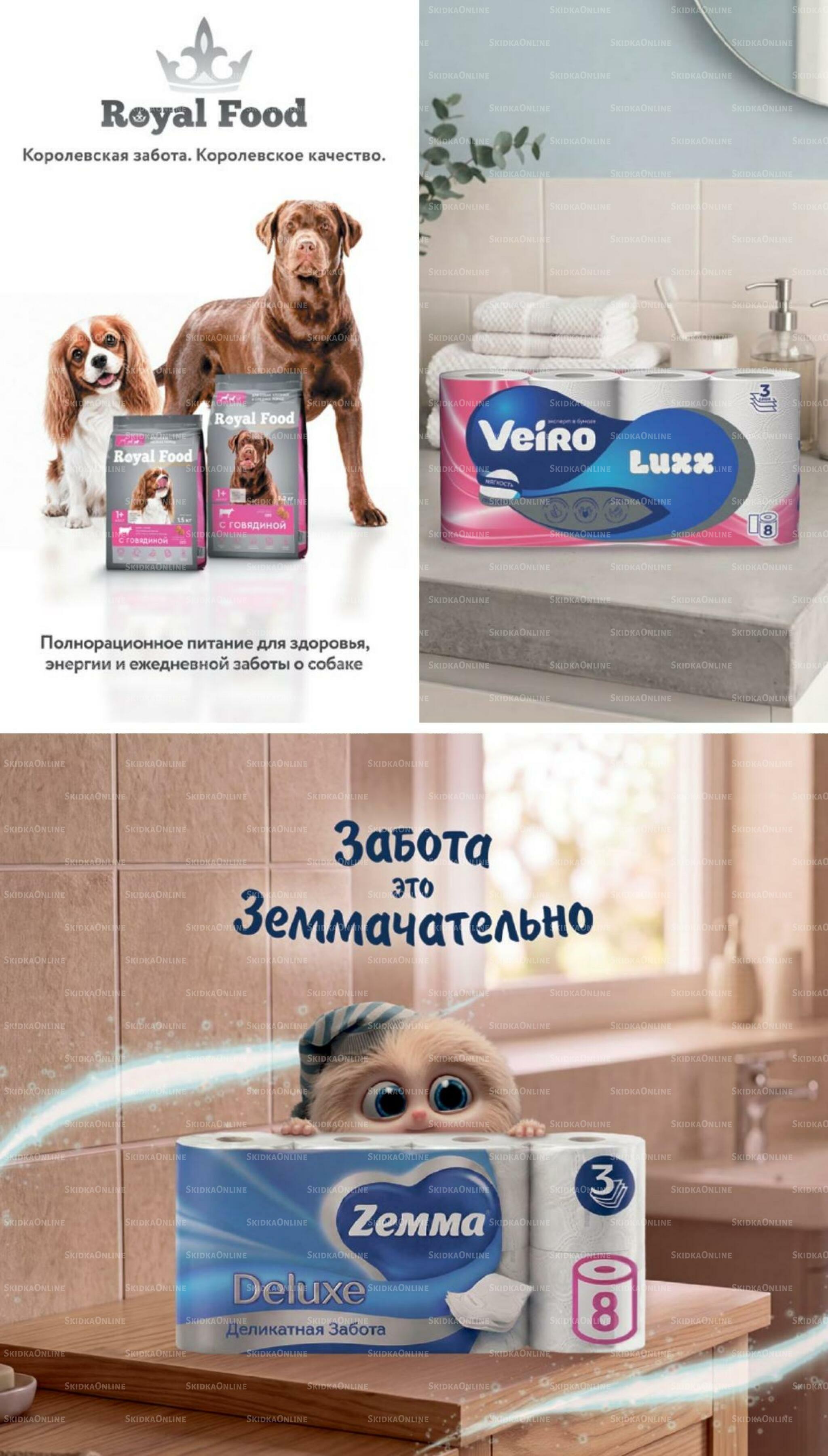 Ноябрь 8 Октября - 24 Ноября 2026 41