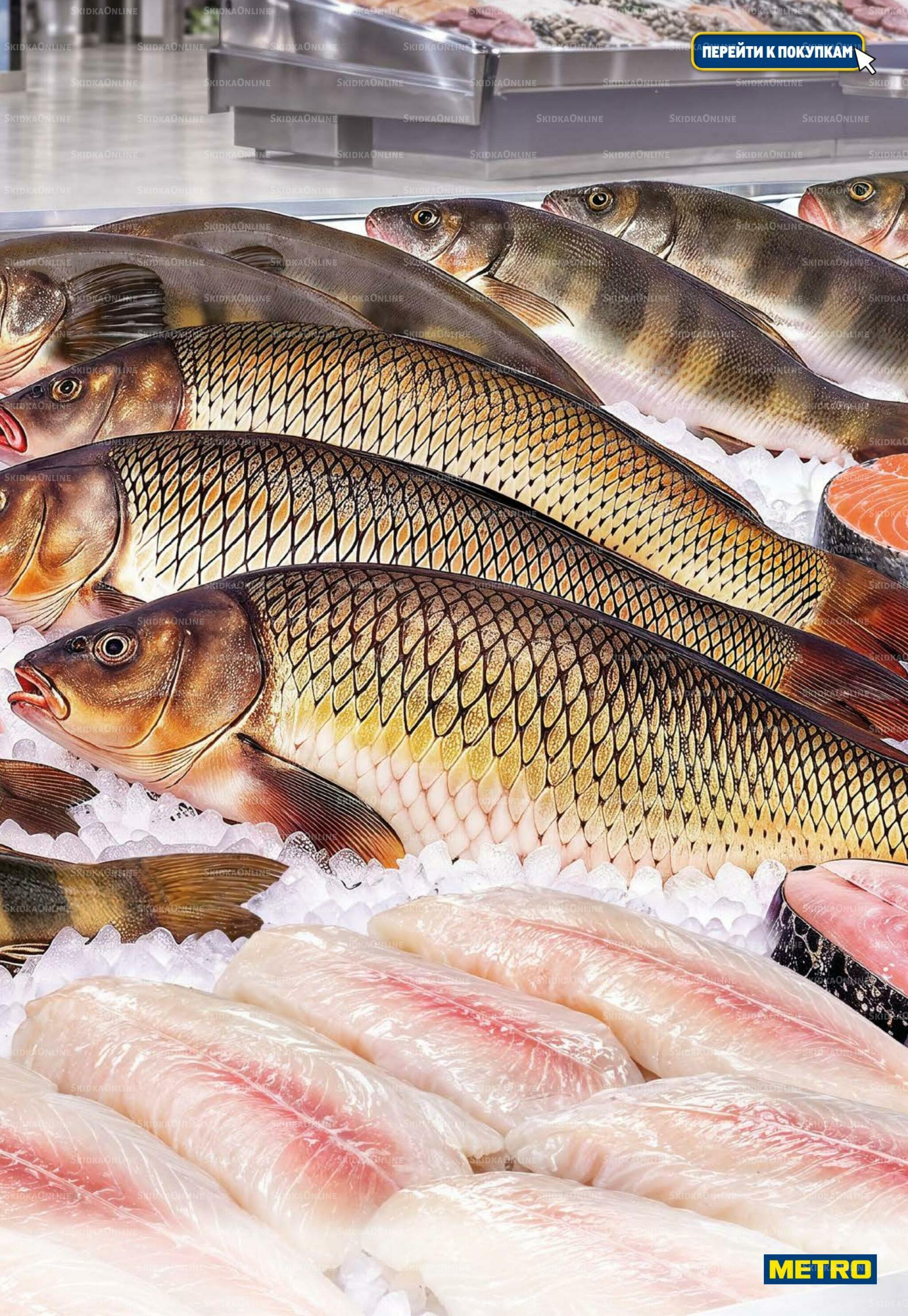 Каталог 8  - 21 Октября 2026 3