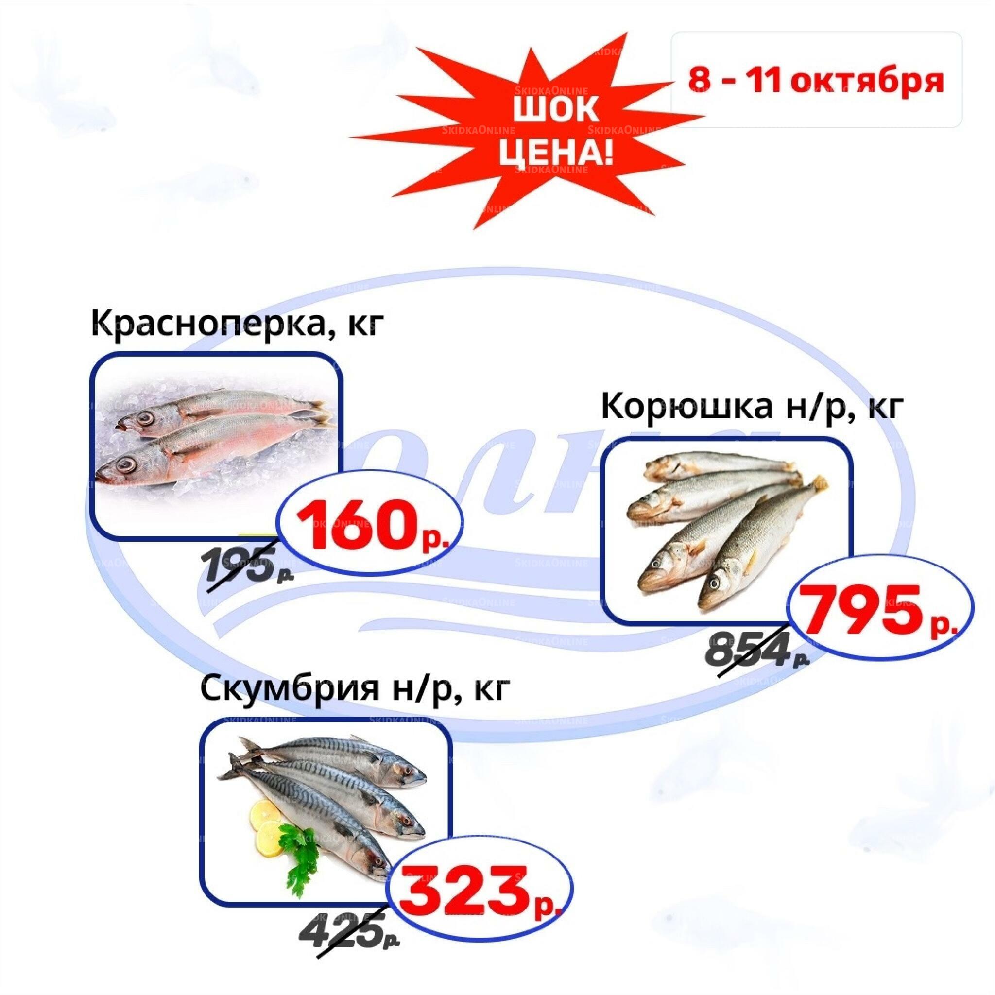 Шок цена 8  - 11 Октября 2026 6