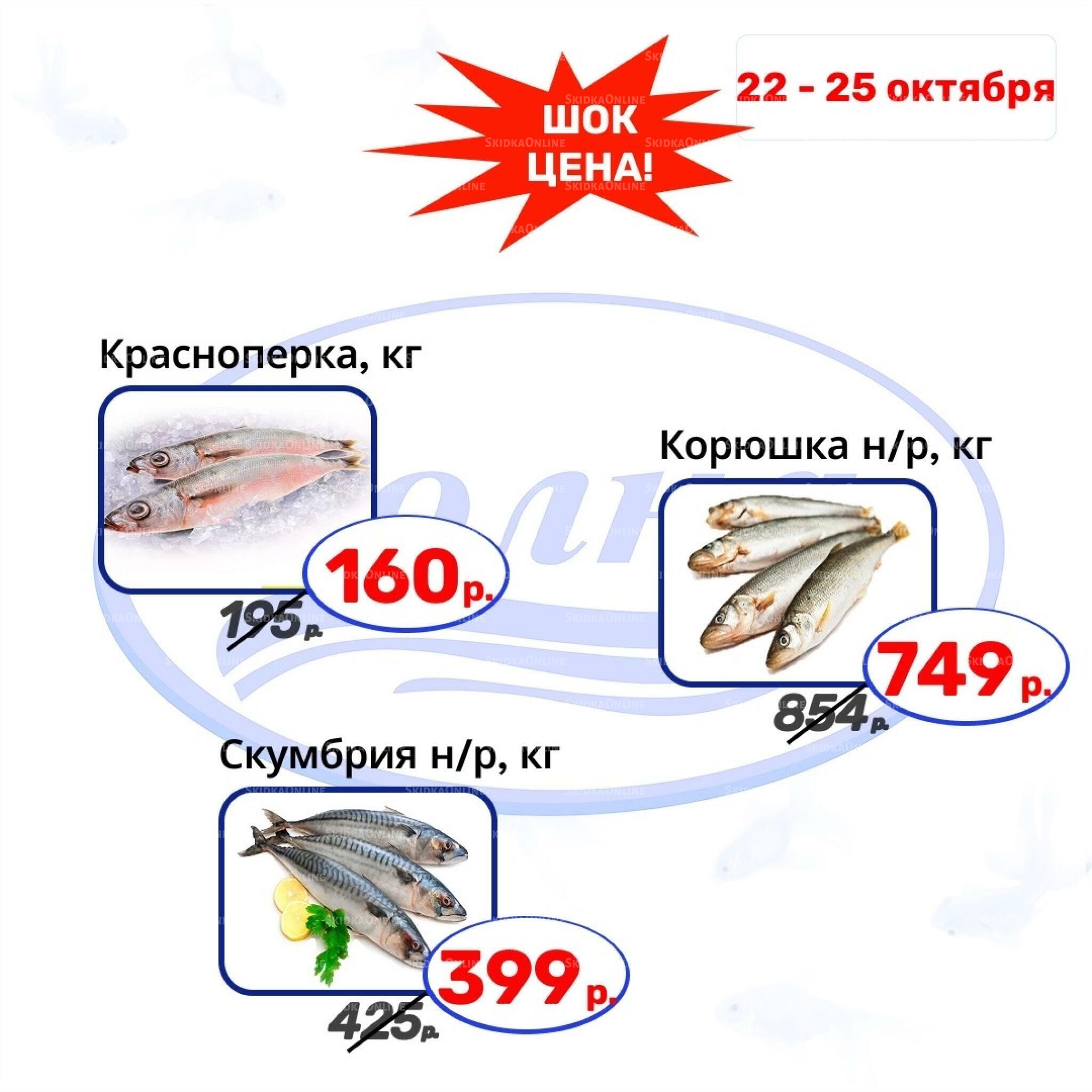 Шок цена 22  - 25 Октября 2026 2